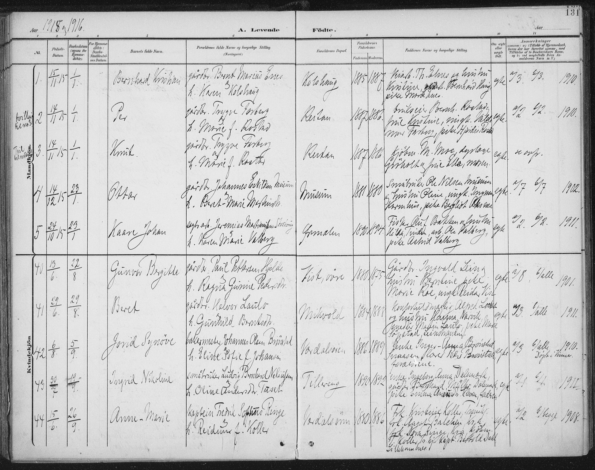 Ministerialprotokoller, klokkerbøker og fødselsregistre - Nord-Trøndelag, SAT/A-1458/723/L0246: Parish register (official) no. 723A15, 1900-1917, p. 131