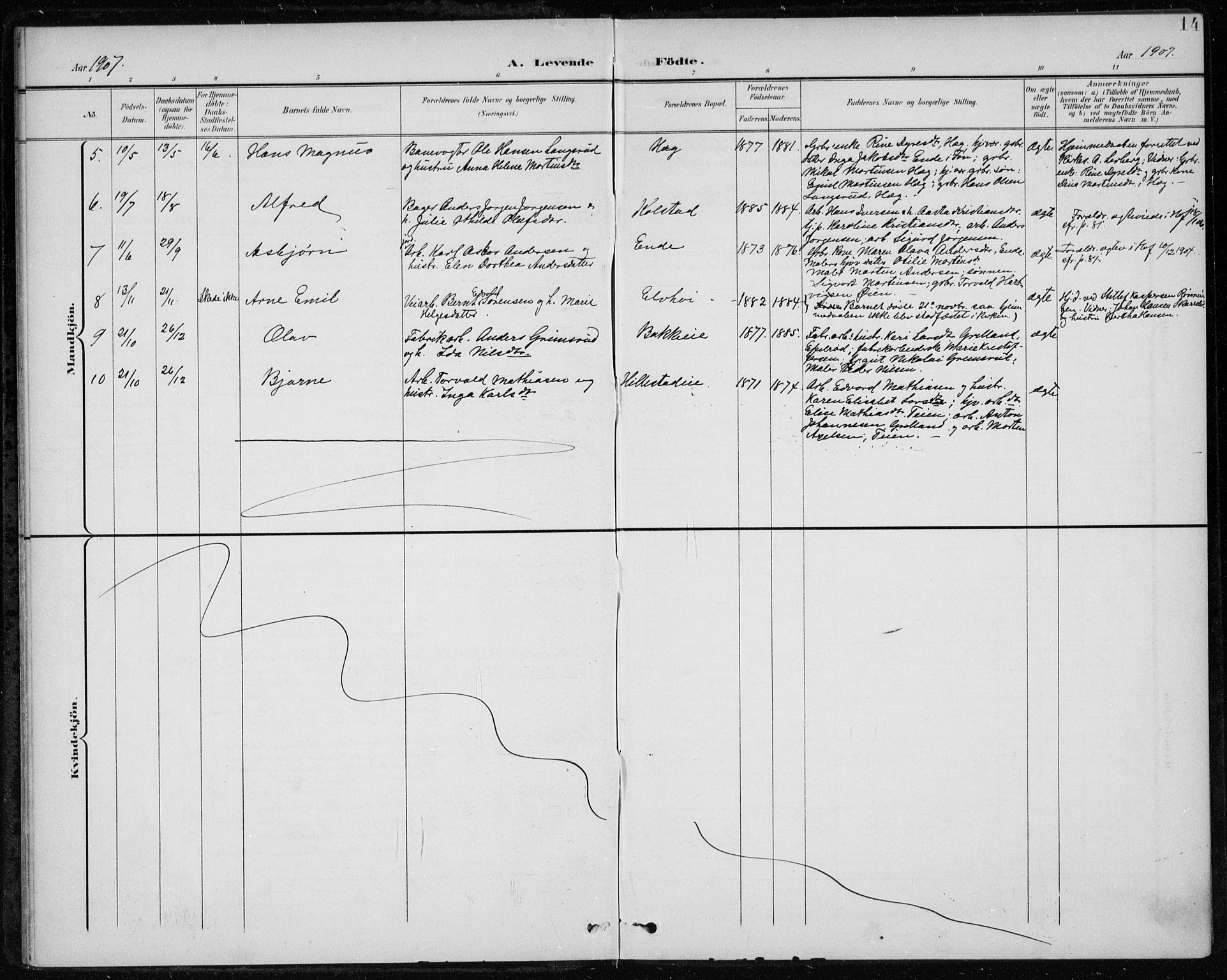 Botne kirkebøker, SAKO/A-340/F/Fb/L0002: Parish register (official) no. II 2, 1902-1915, p. 14