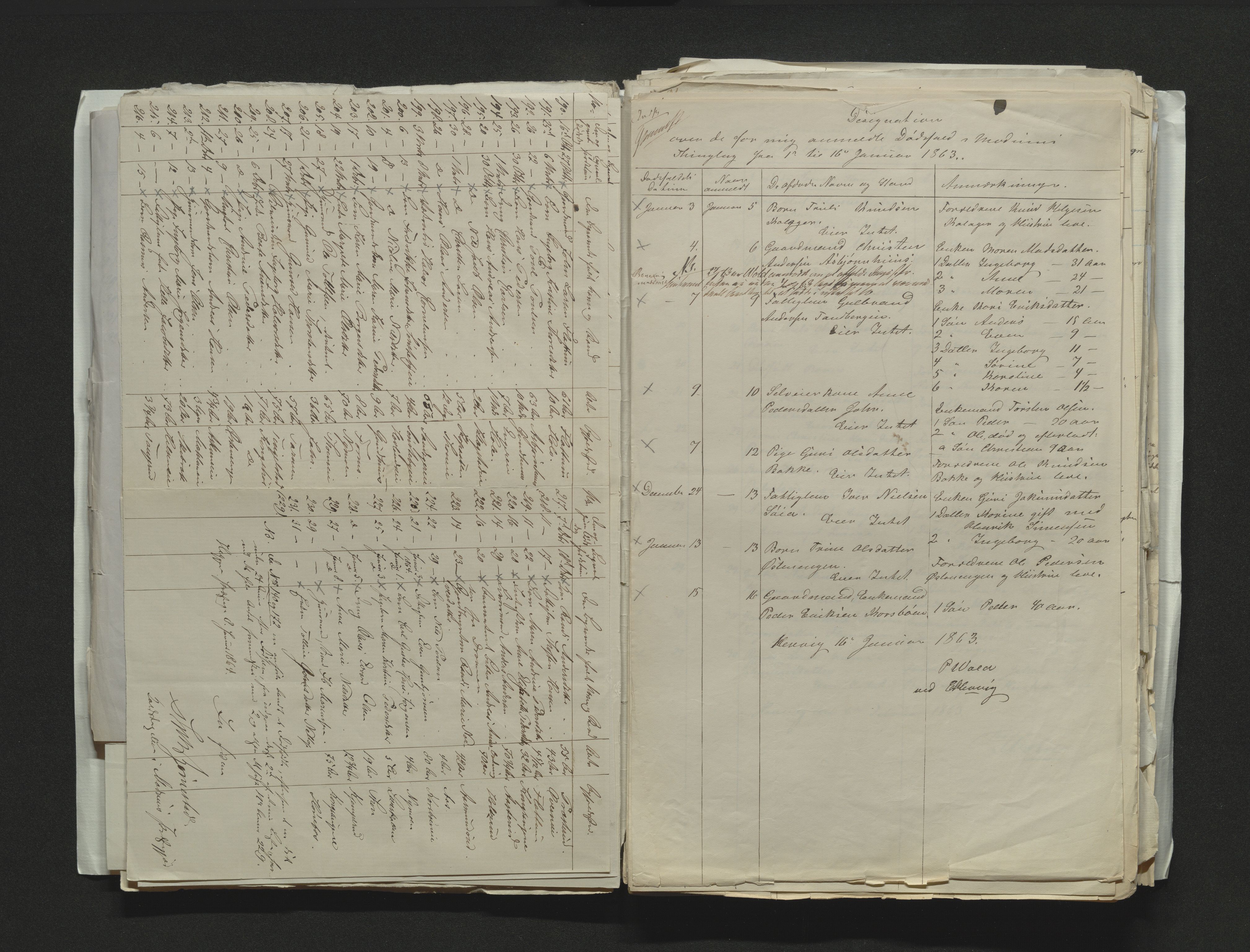 Eiker, Modum og Sigdal sorenskriveri, AV/SAKO-A-123/H/Ha/Hab/L0011: Dødsfallsmeldinger, 1862-1865, p. 233