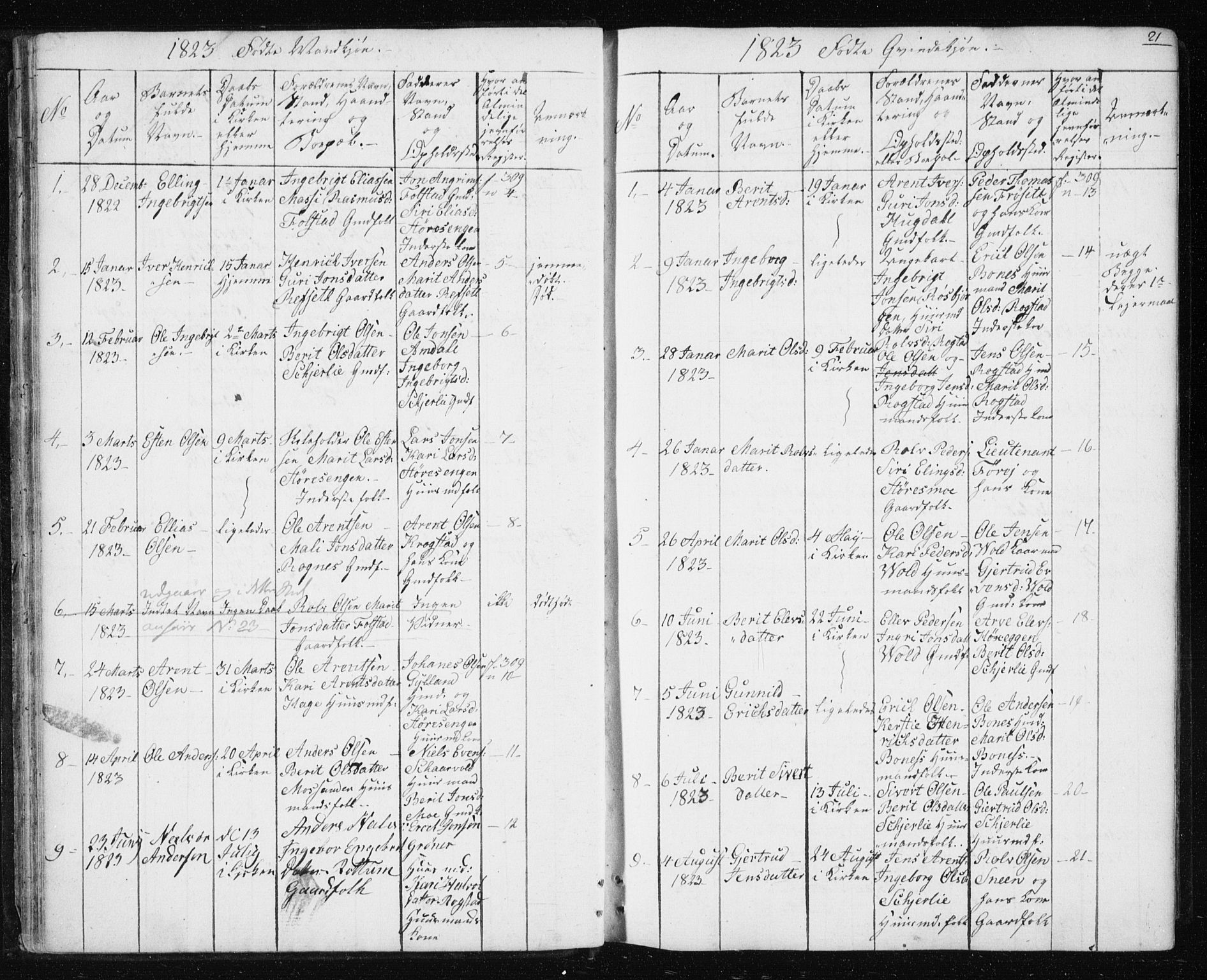 Ministerialprotokoller, klokkerbøker og fødselsregistre - Sør-Trøndelag, SAT/A-1456/687/L1017: Parish register (copy) no. 687C01, 1816-1837, p. 21