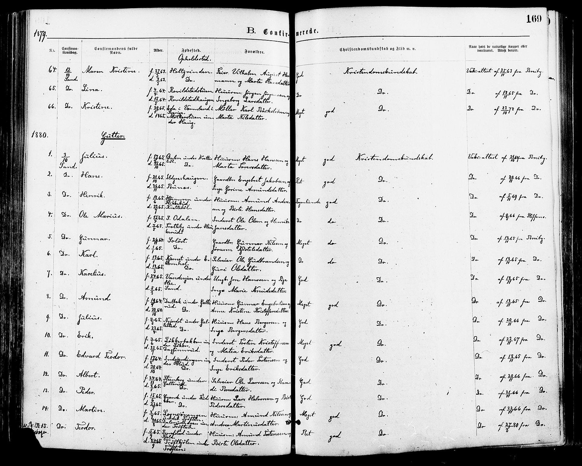 Nord-Odal prestekontor, AV/SAH-PREST-032/H/Ha/Haa/L0005: Parish register (official) no. 5, 1874-1885, p. 169