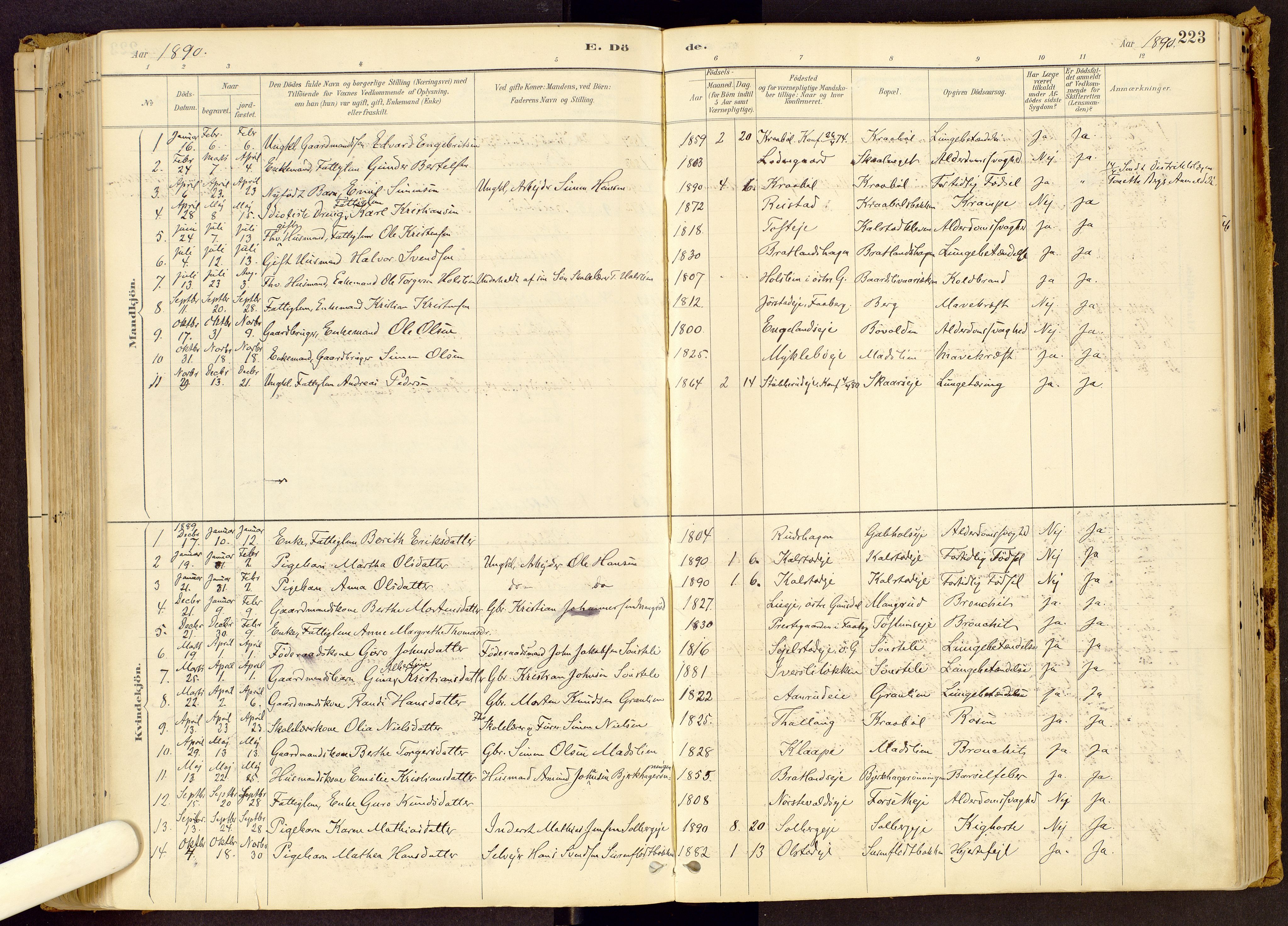 Vestre Gausdal prestekontor, AV/SAH-PREST-094/H/Ha/Haa/L0001: Parish register (official) no. 1, 1887-1914, p. 223