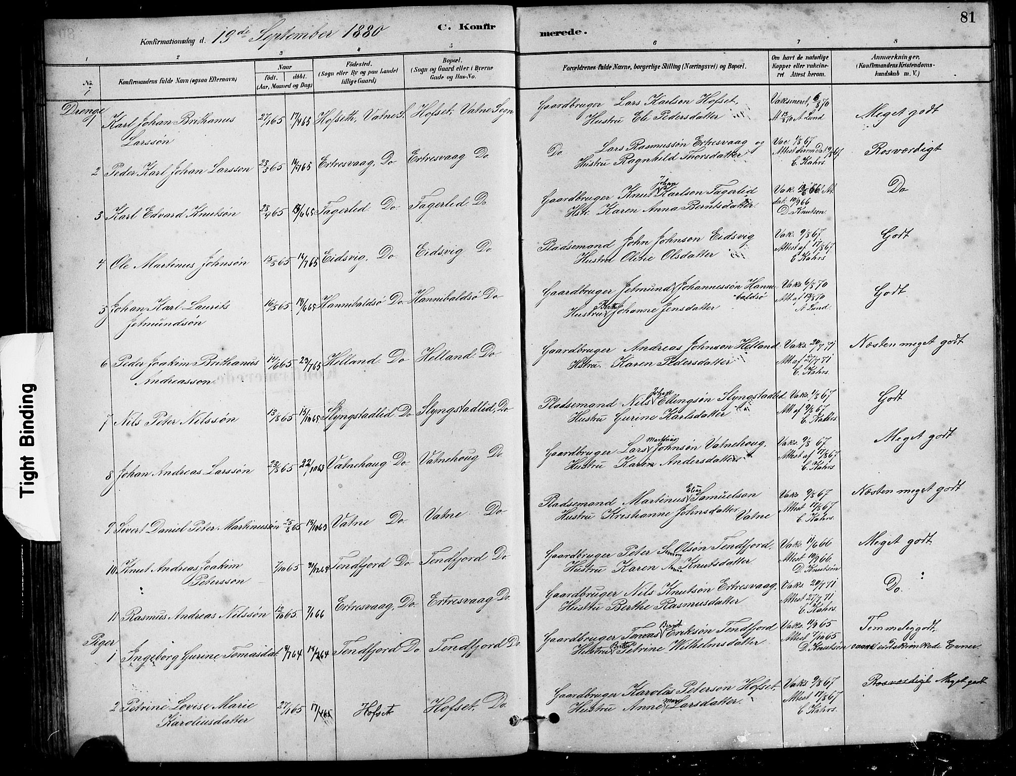 Ministerialprotokoller, klokkerbøker og fødselsregistre - Møre og Romsdal, AV/SAT-A-1454/525/L0376: Parish register (copy) no. 525C02, 1880-1902, p. 81