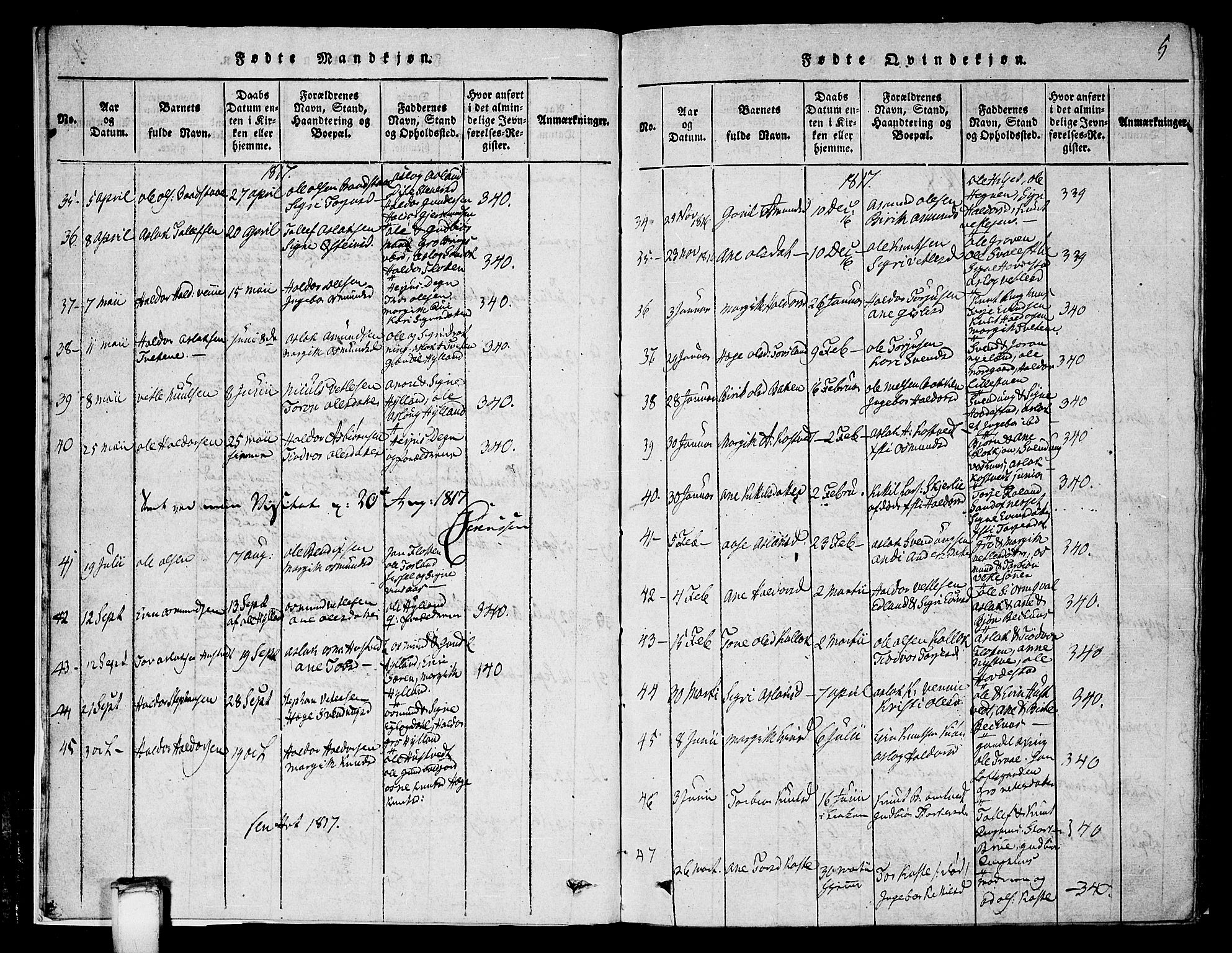 Vinje kirkebøker, SAKO/A-312/G/Ga/L0001: Parish register (copy) no. I 1, 1814-1843, p. 5