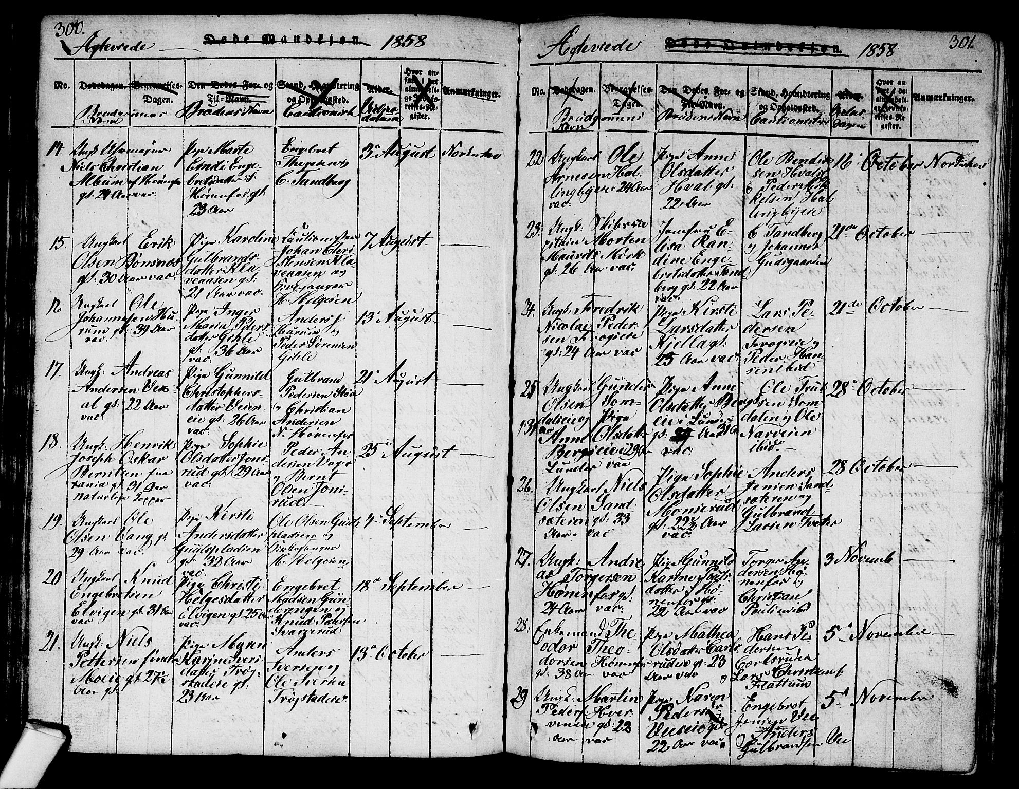 Norderhov kirkebøker, AV/SAKO-A-237/G/Ga/L0003: Parish register (copy) no. I 3 /1, 1814-1876, p. 300-301