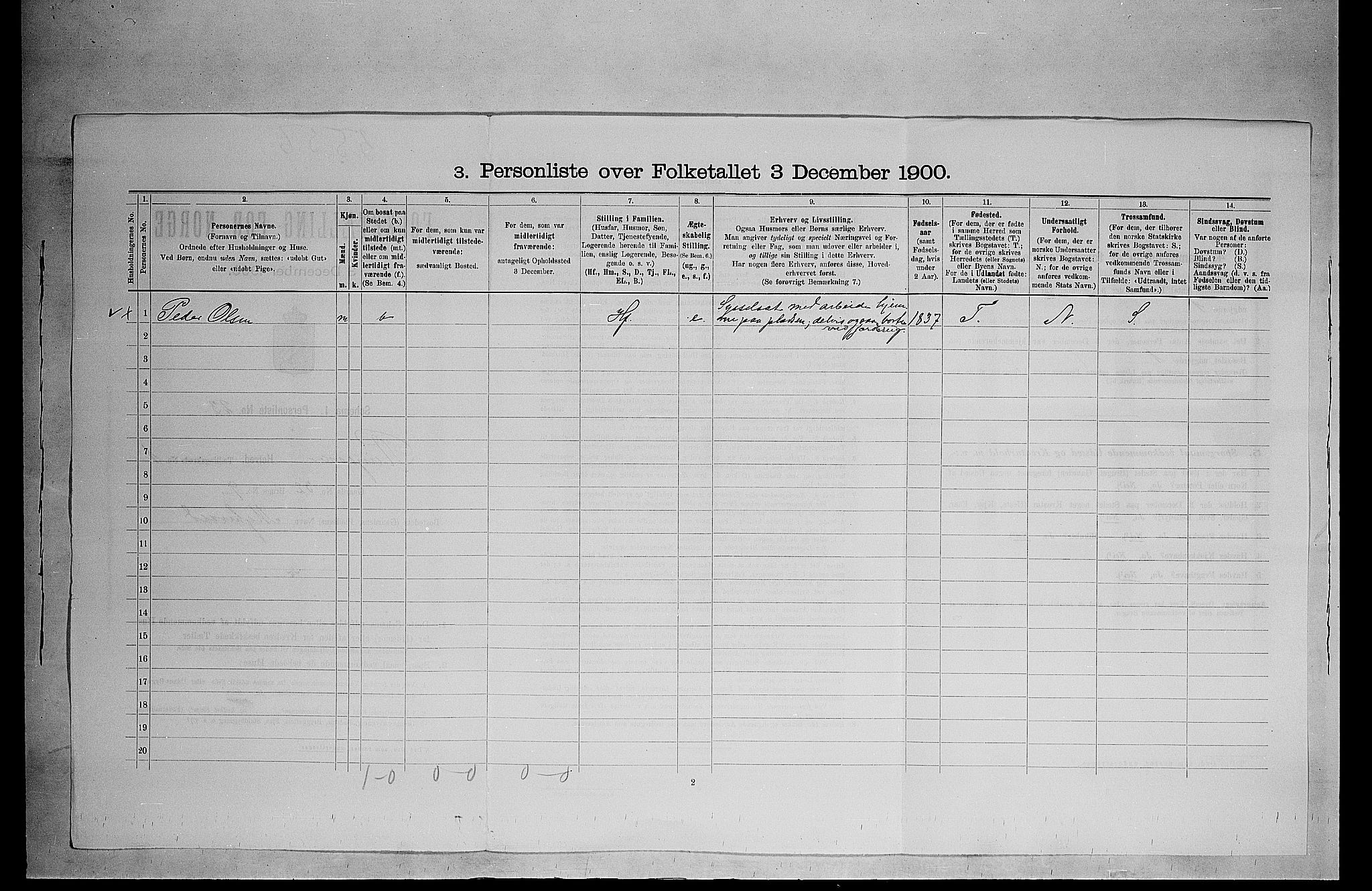 SAH, 1900 census for Ringsaker, 1900, p. 382