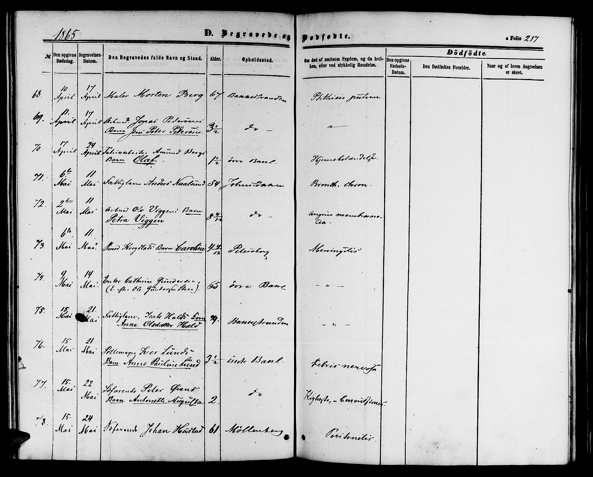 Ministerialprotokoller, klokkerbøker og fødselsregistre - Sør-Trøndelag, AV/SAT-A-1456/604/L0185: Parish register (official) no. 604A06, 1861-1865, p. 217