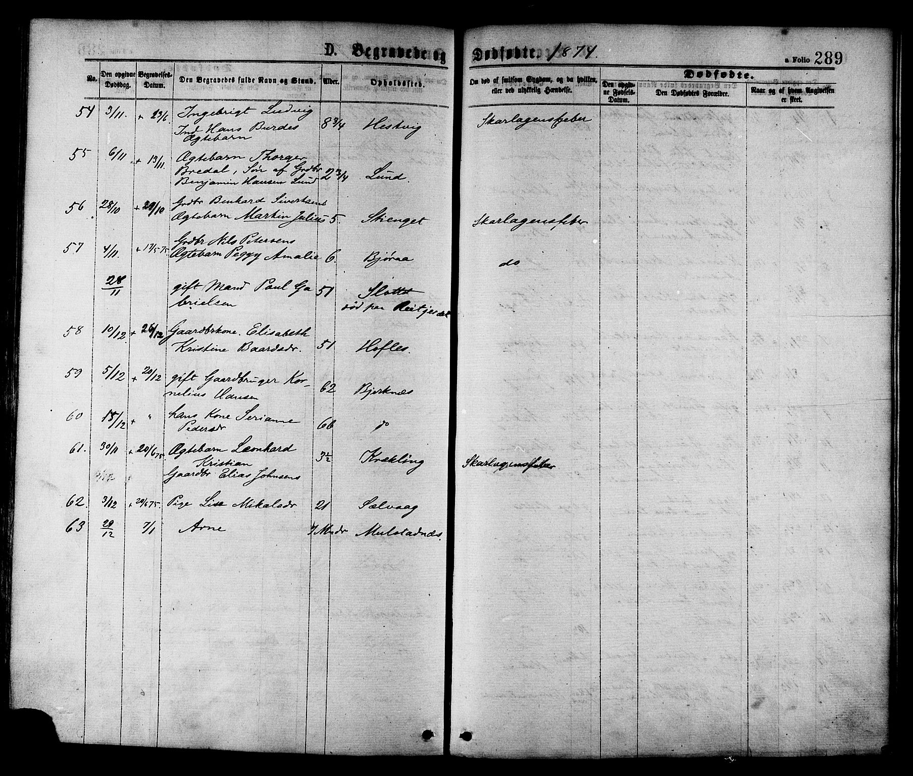 Ministerialprotokoller, klokkerbøker og fødselsregistre - Nord-Trøndelag, AV/SAT-A-1458/780/L0642: Parish register (official) no. 780A07 /1, 1874-1885, p. 289