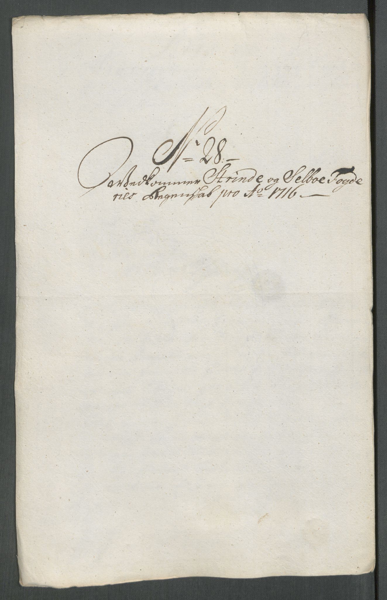 Rentekammeret inntil 1814, Reviderte regnskaper, Fogderegnskap, AV/RA-EA-4092/R61/L4115: Fogderegnskap Strinda og Selbu, 1715-1716, p. 452