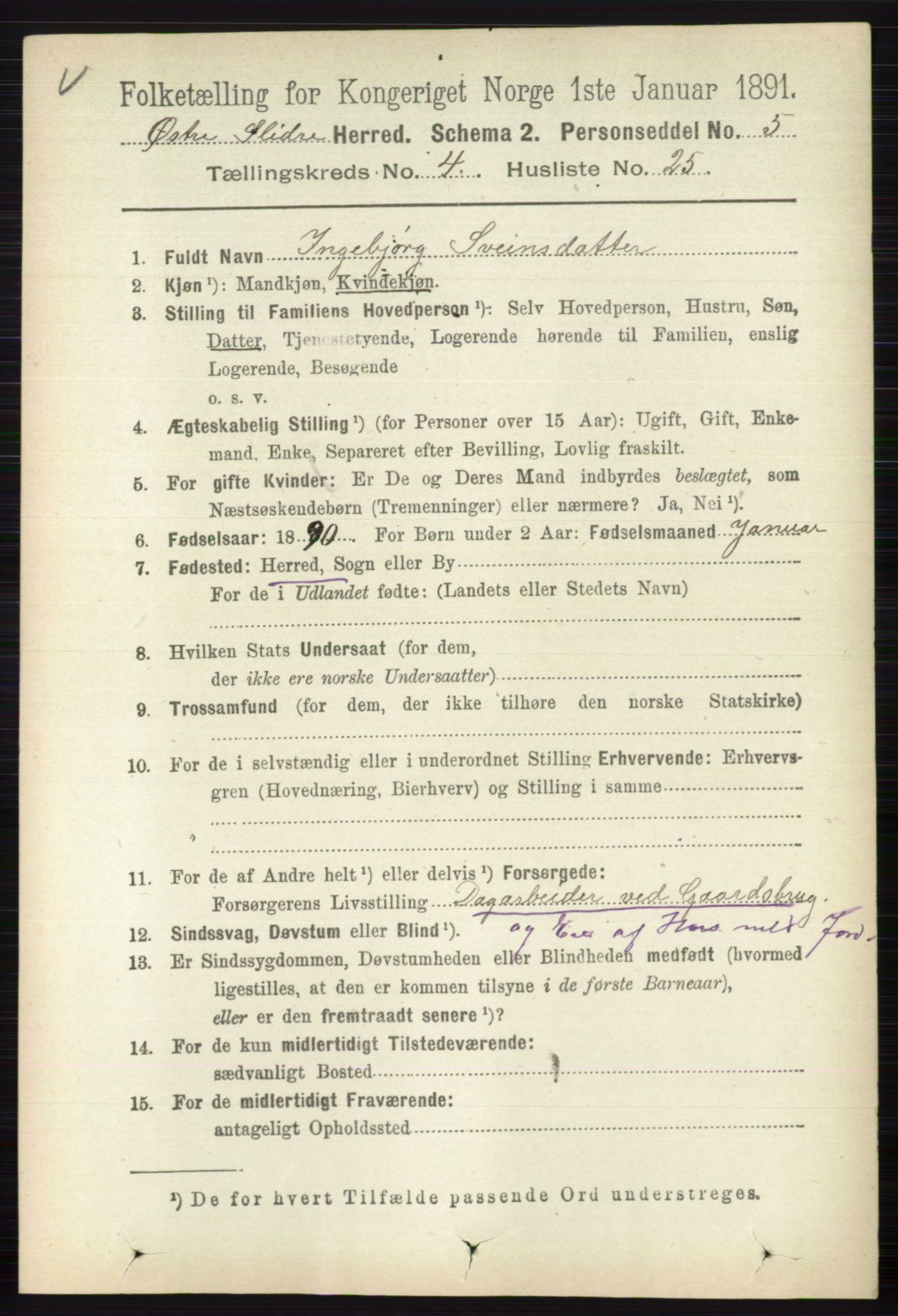 RA, 1891 census for 0544 Øystre Slidre, 1891, p. 1330