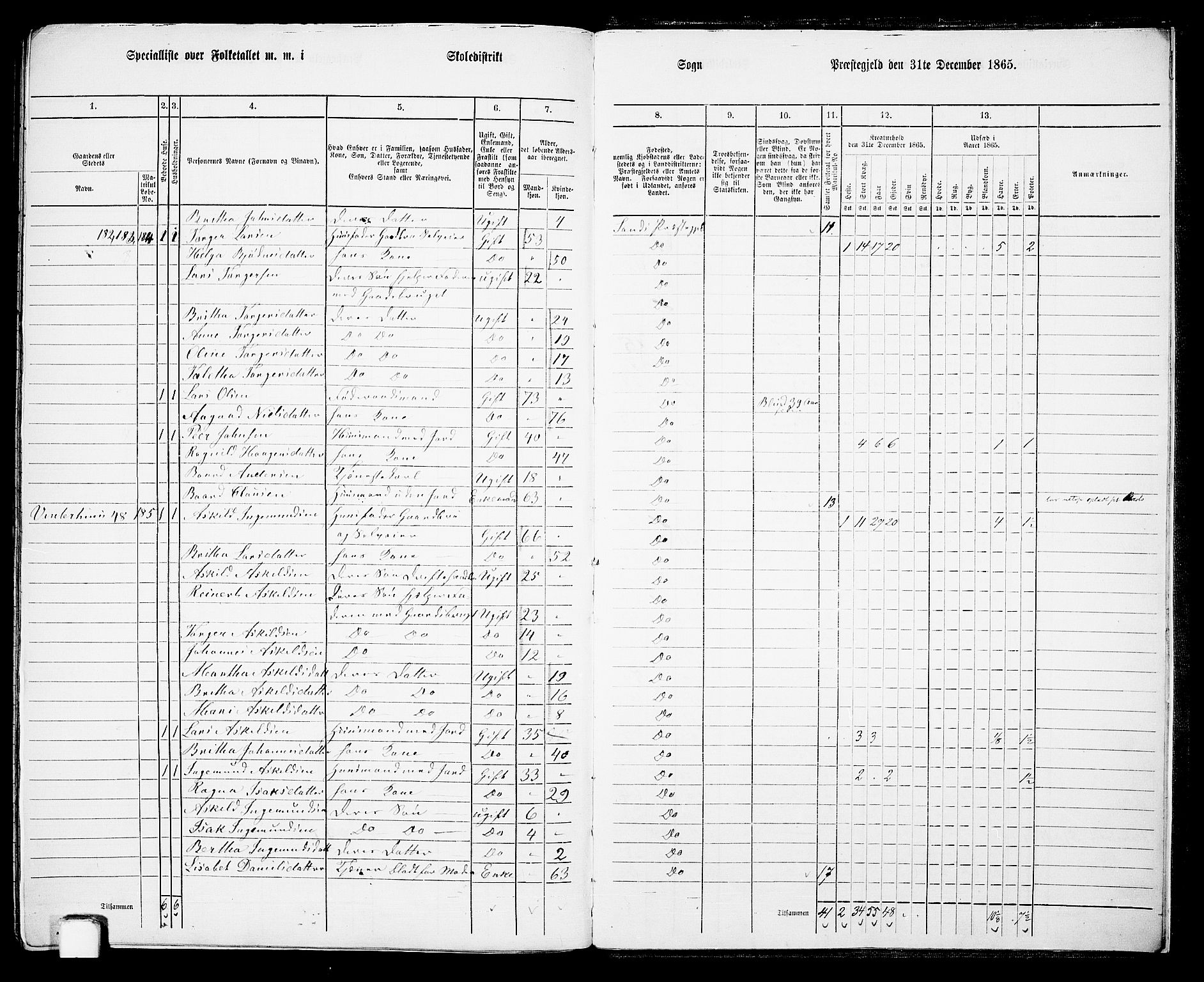 RA, 1865 census for Sand, 1865, p. 160