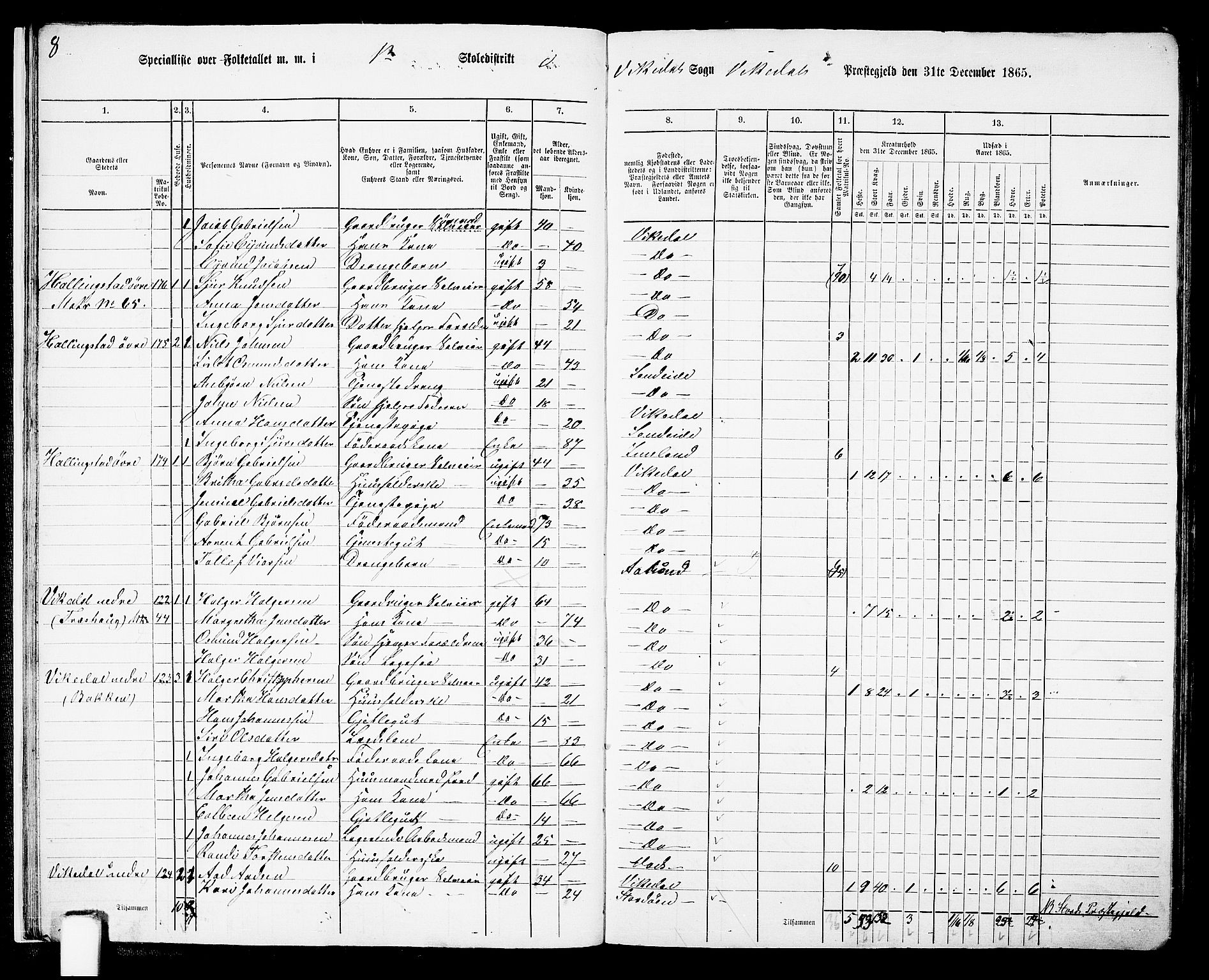 RA, 1865 census for Vikedal, 1865, p. 20
