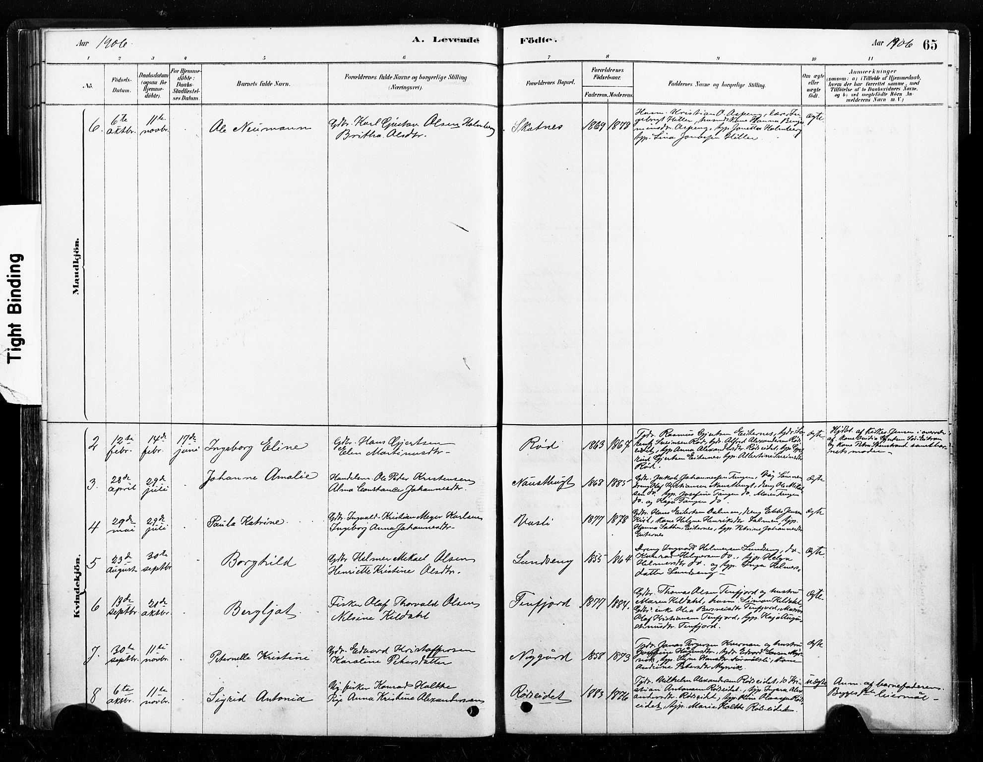 Ministerialprotokoller, klokkerbøker og fødselsregistre - Nord-Trøndelag, SAT/A-1458/789/L0705: Parish register (official) no. 789A01, 1878-1910, p. 65