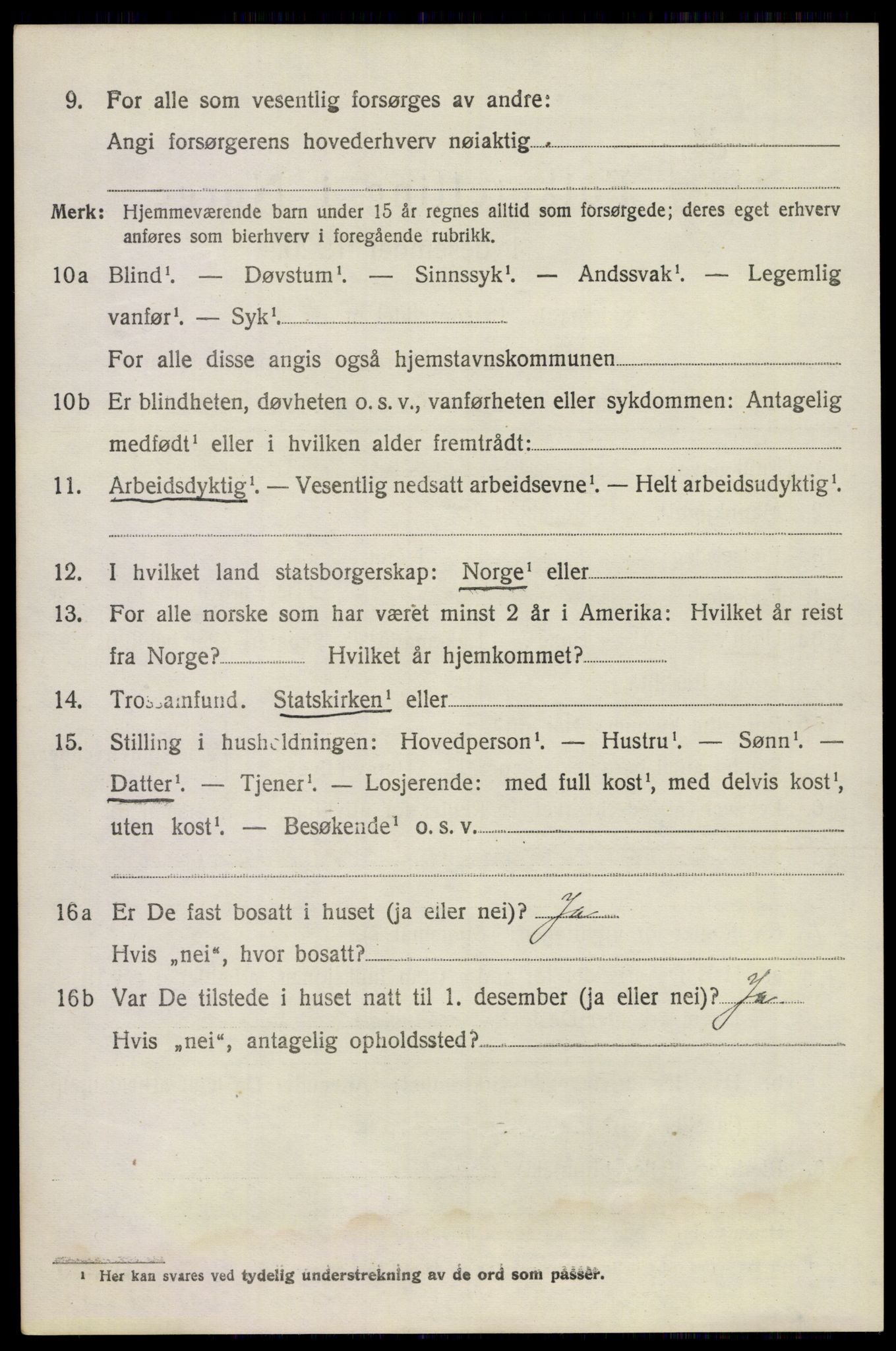 SAKO, 1920 census for Våle, 1920, p. 1961