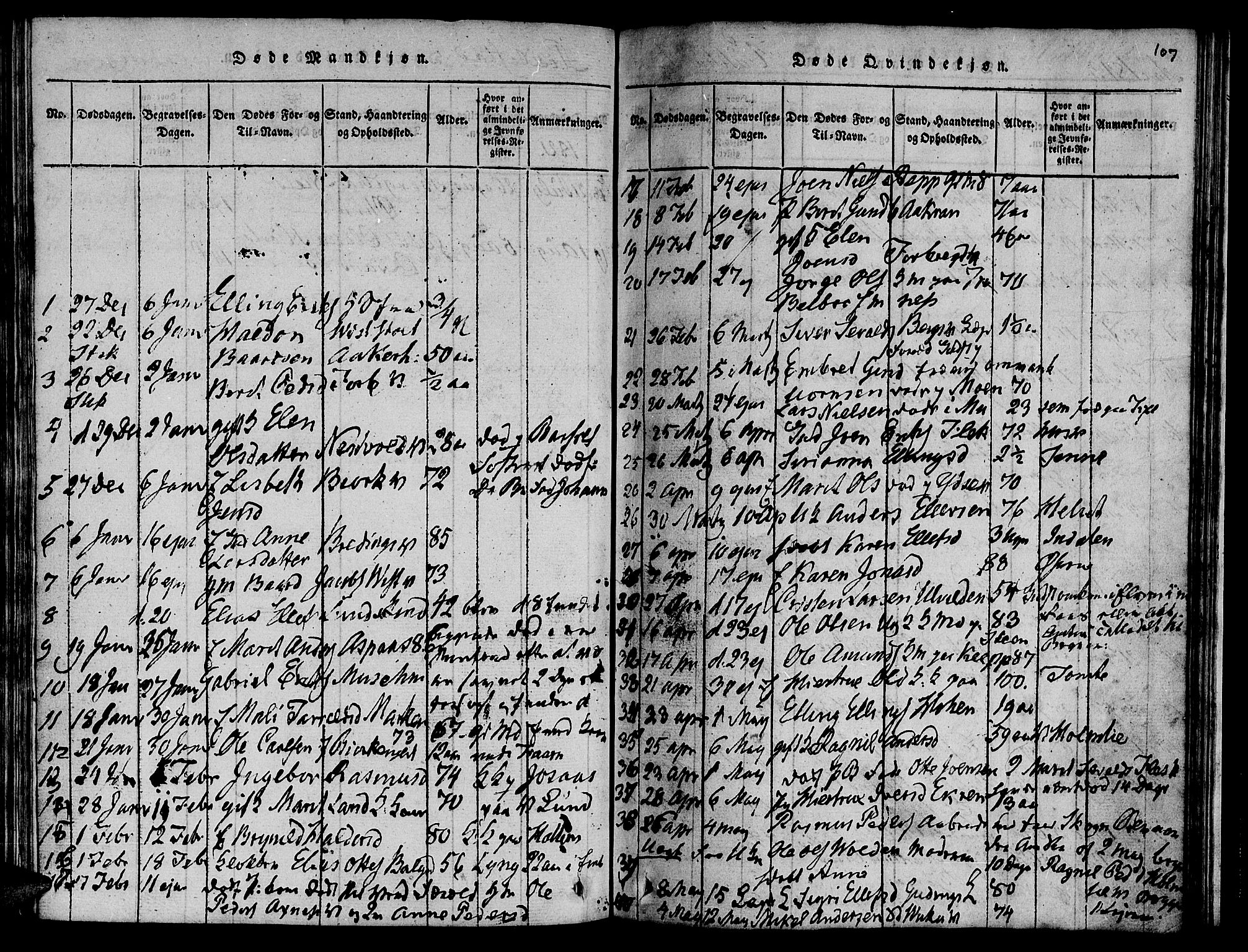 Ministerialprotokoller, klokkerbøker og fødselsregistre - Nord-Trøndelag, SAT/A-1458/723/L0251: Parish register (copy) no. 723C01 /1, 1816-1831, p. 107