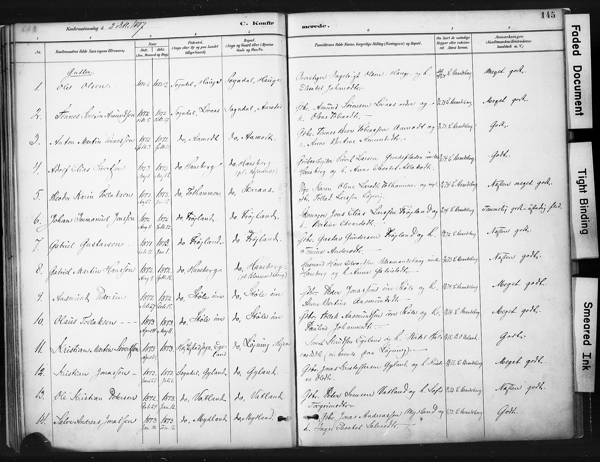 Sokndal sokneprestkontor, AV/SAST-A-101808: Parish register (official) no. A 11.1, 1887-1905, p. 145