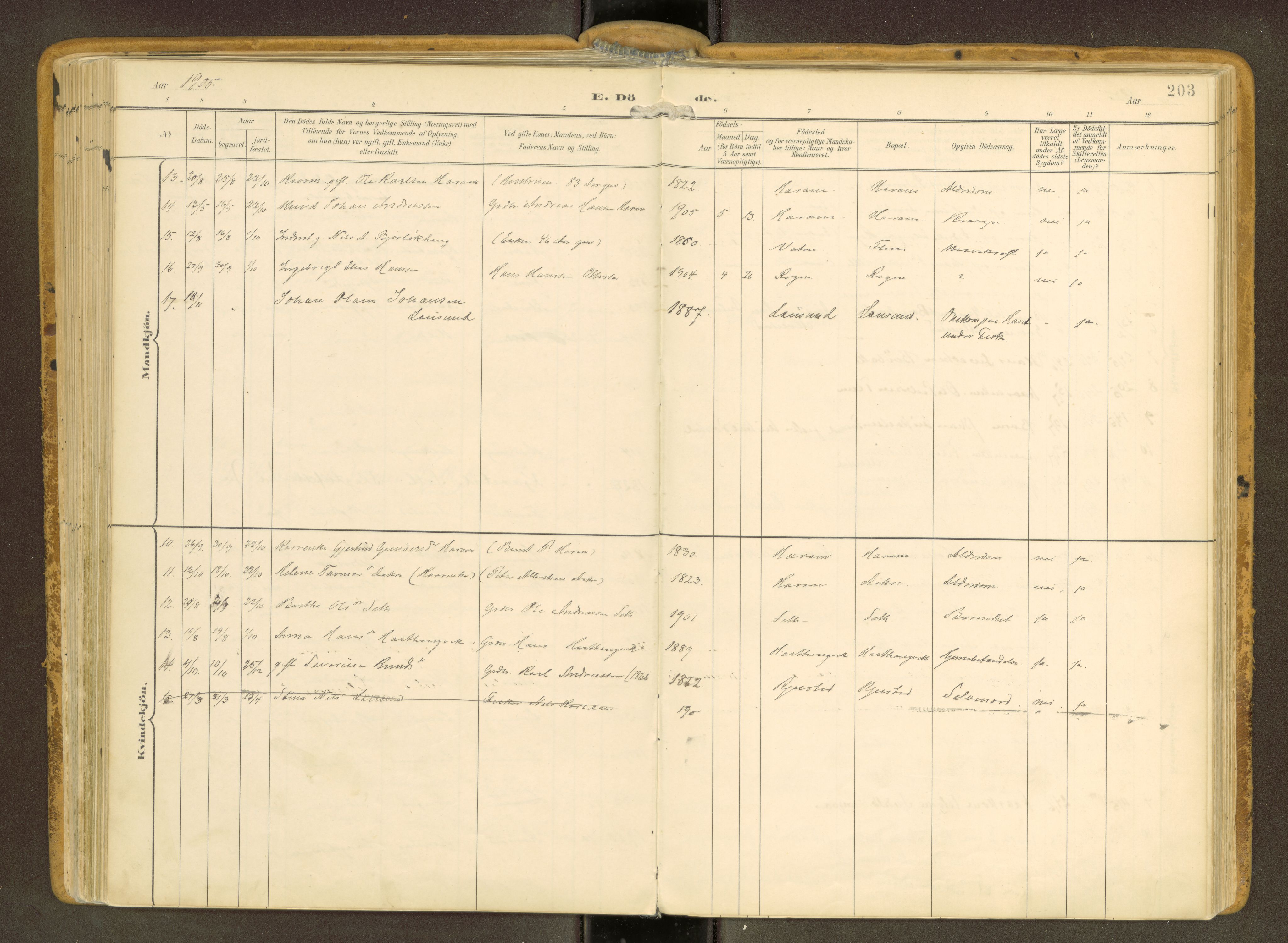 Ministerialprotokoller, klokkerbøker og fødselsregistre - Møre og Romsdal, SAT/A-1454/536/L0517: Parish register (official) no. 536A--, 1897-1917, p. 203