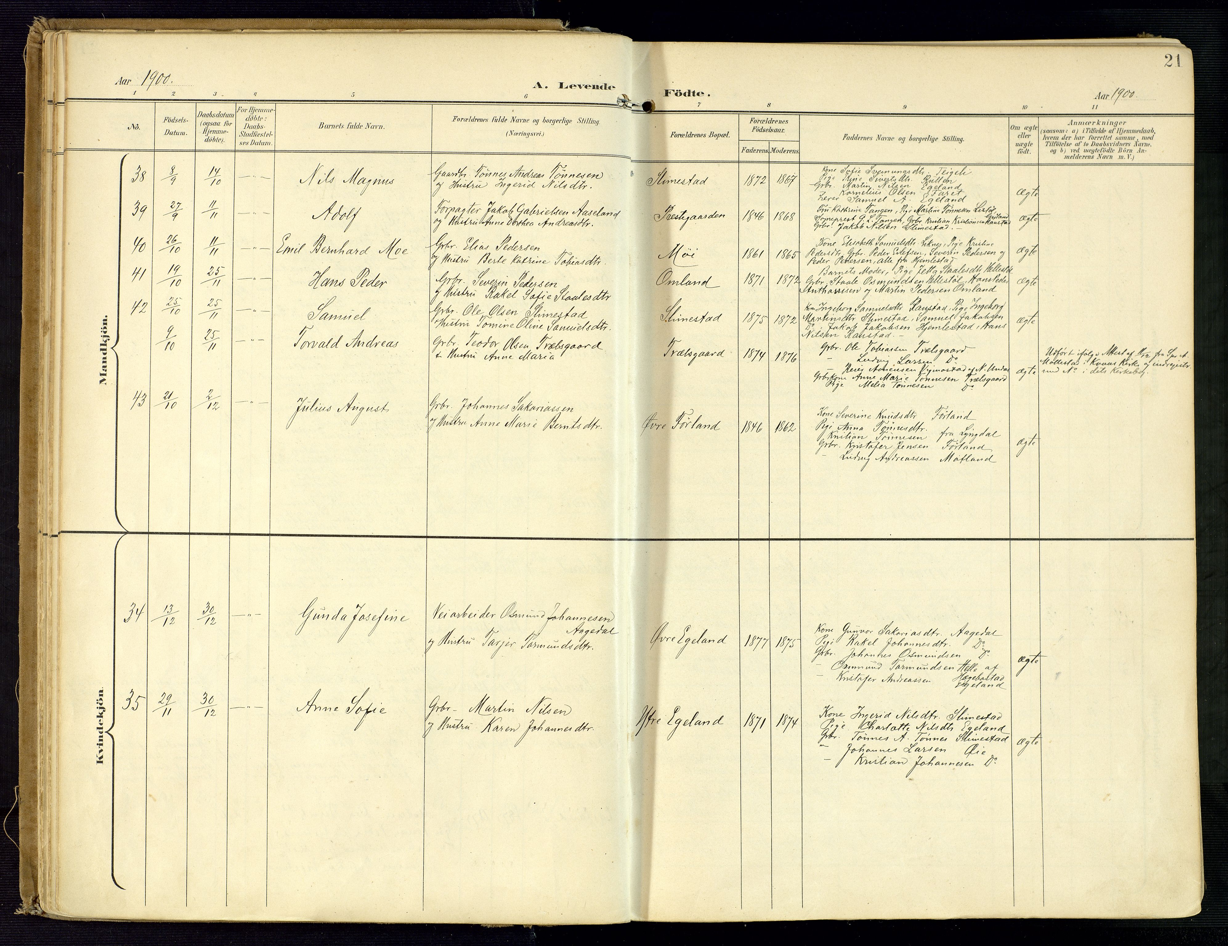 Kvinesdal sokneprestkontor, AV/SAK-1111-0026/F/Fa/Fab/L0009: Parish register (official) no. A 9, 1898-1915, p. 21