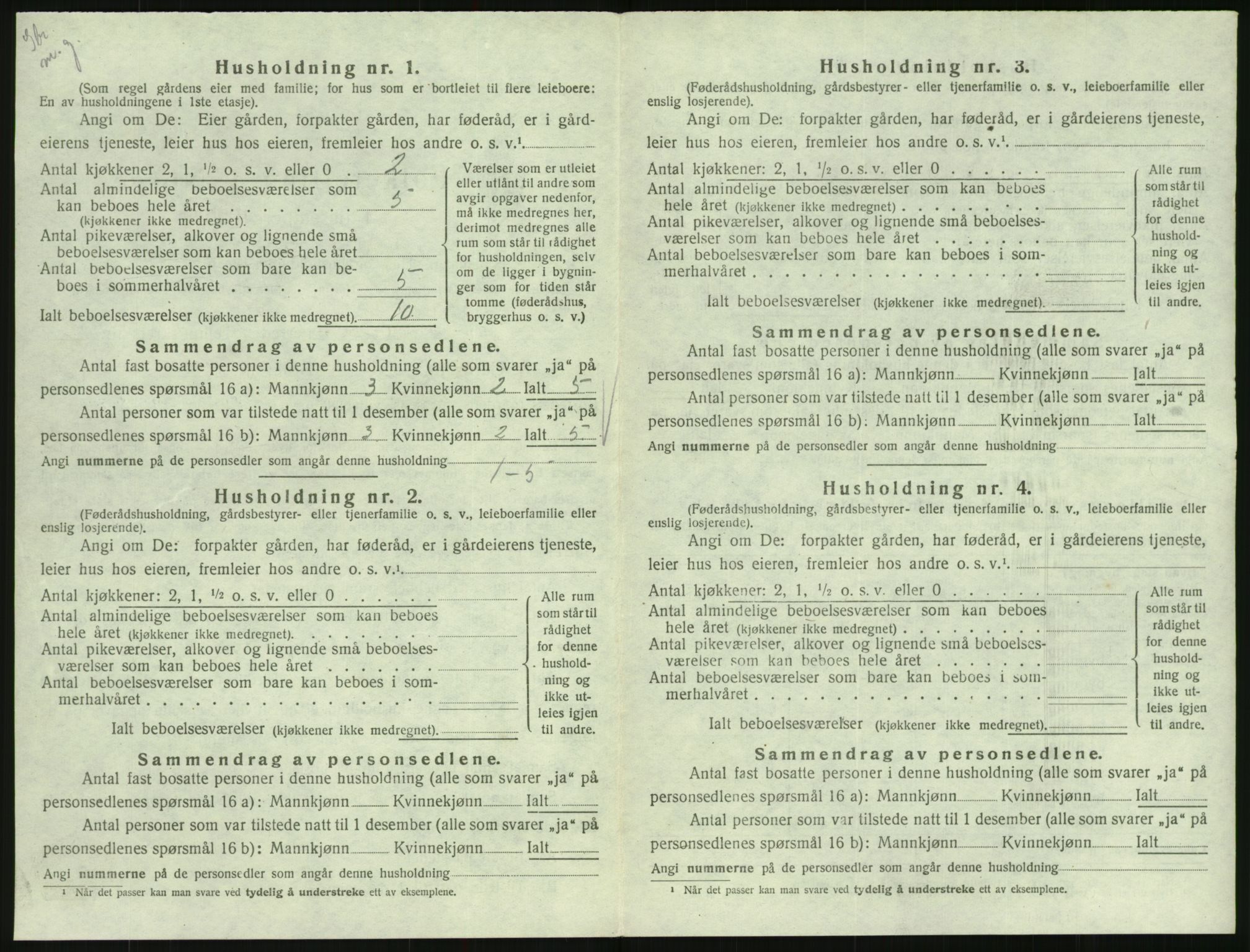 SAK, 1920 census for Hornnes, 1920, p. 412