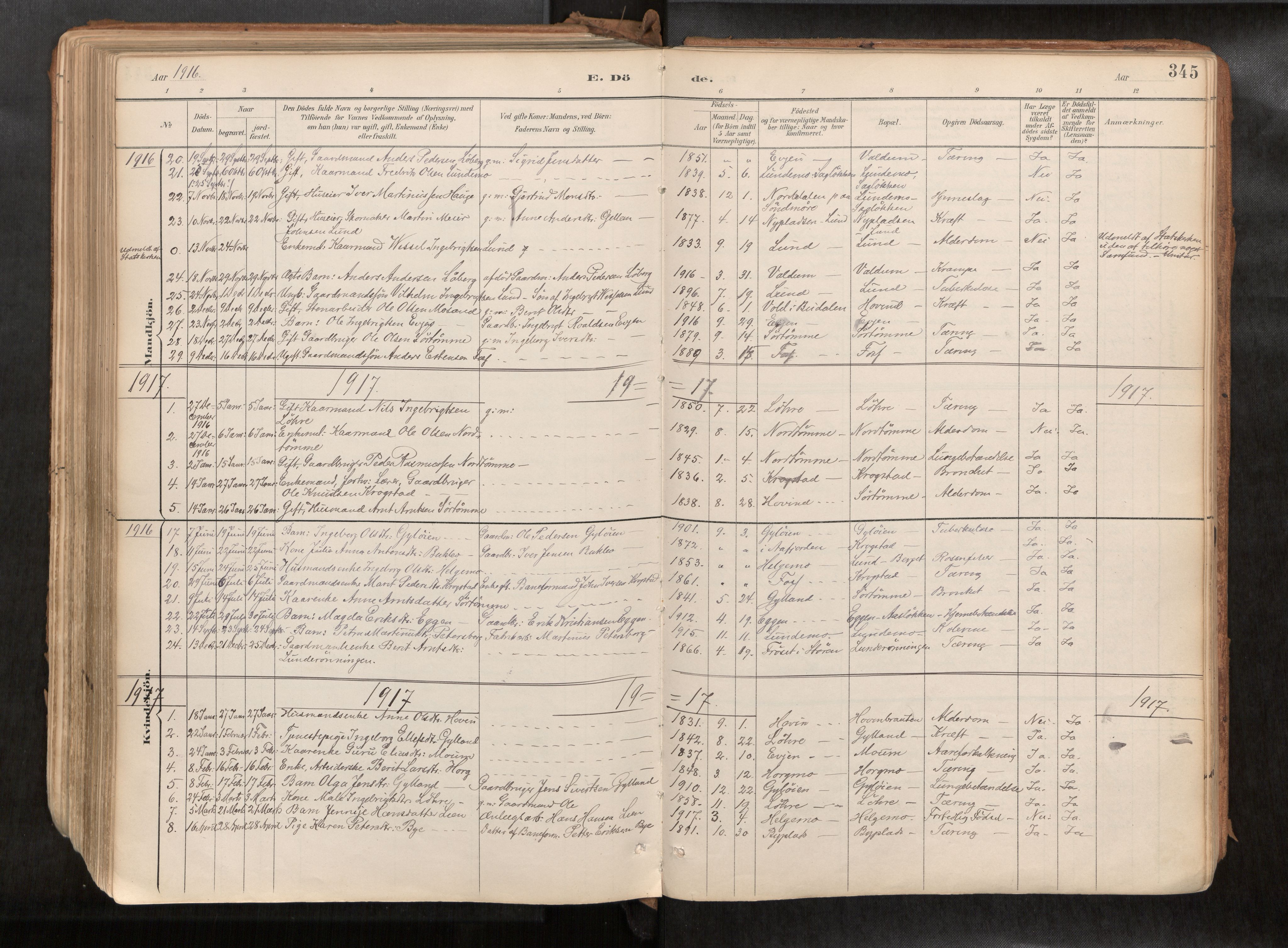 Ministerialprotokoller, klokkerbøker og fødselsregistre - Sør-Trøndelag, SAT/A-1456/692/L1105b: Parish register (official) no. 692A06, 1891-1934, p. 345
