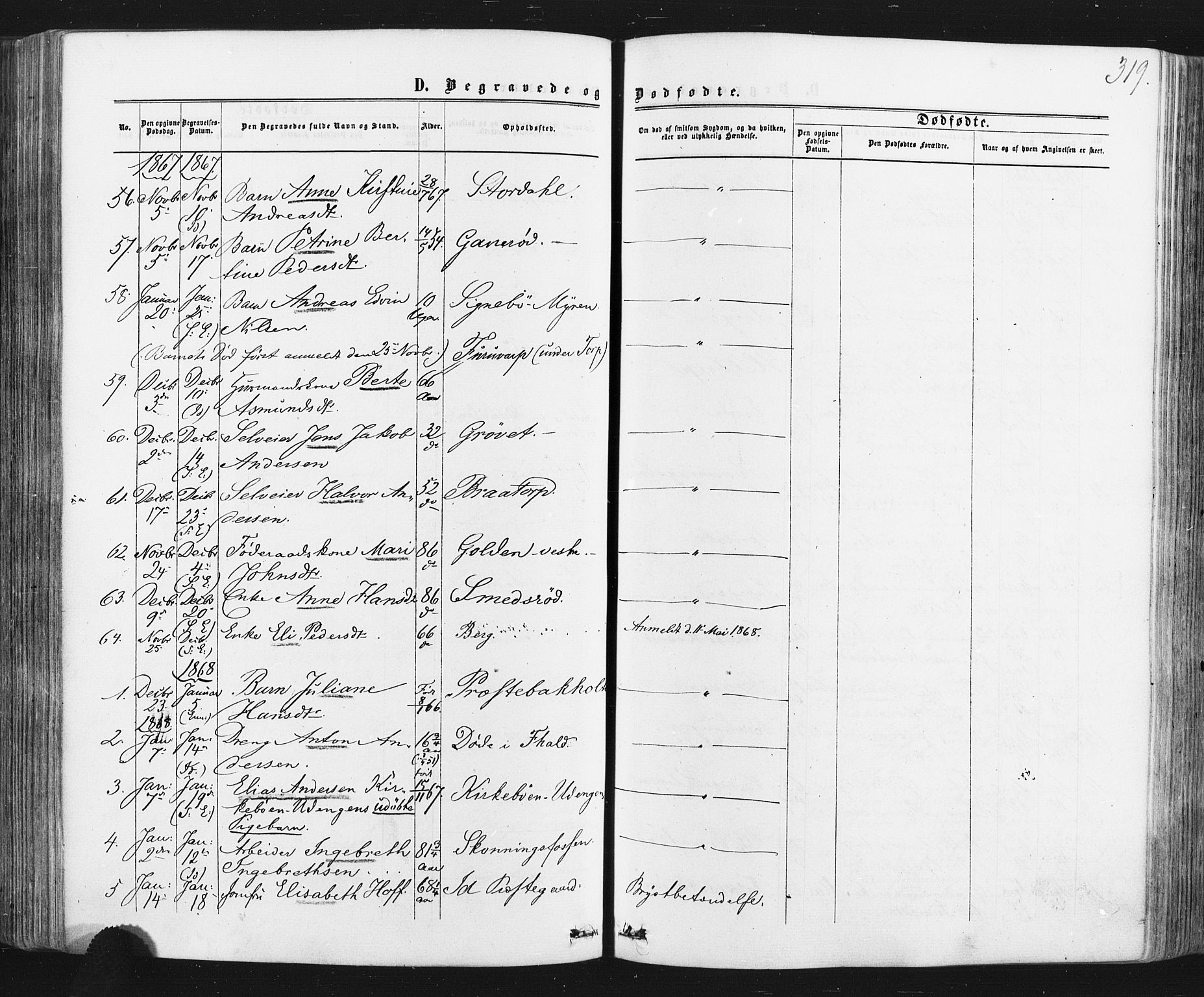 Idd prestekontor Kirkebøker, SAO/A-10911/F/Fc/L0005: Parish register (official) no. III 5, 1861-1877, p. 319