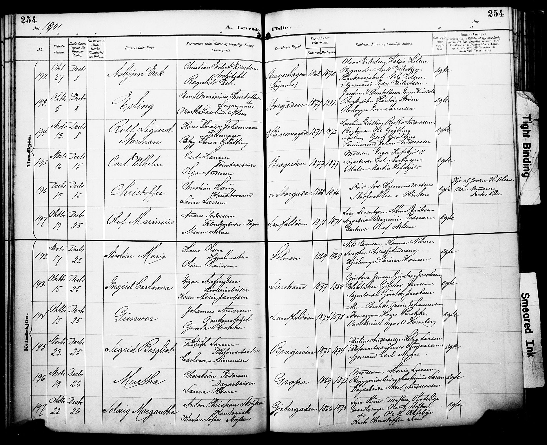 Bragernes kirkebøker, AV/SAKO-A-6/F/Fb/L0008: Parish register (official) no. II 8, 1894-1902, p. 254