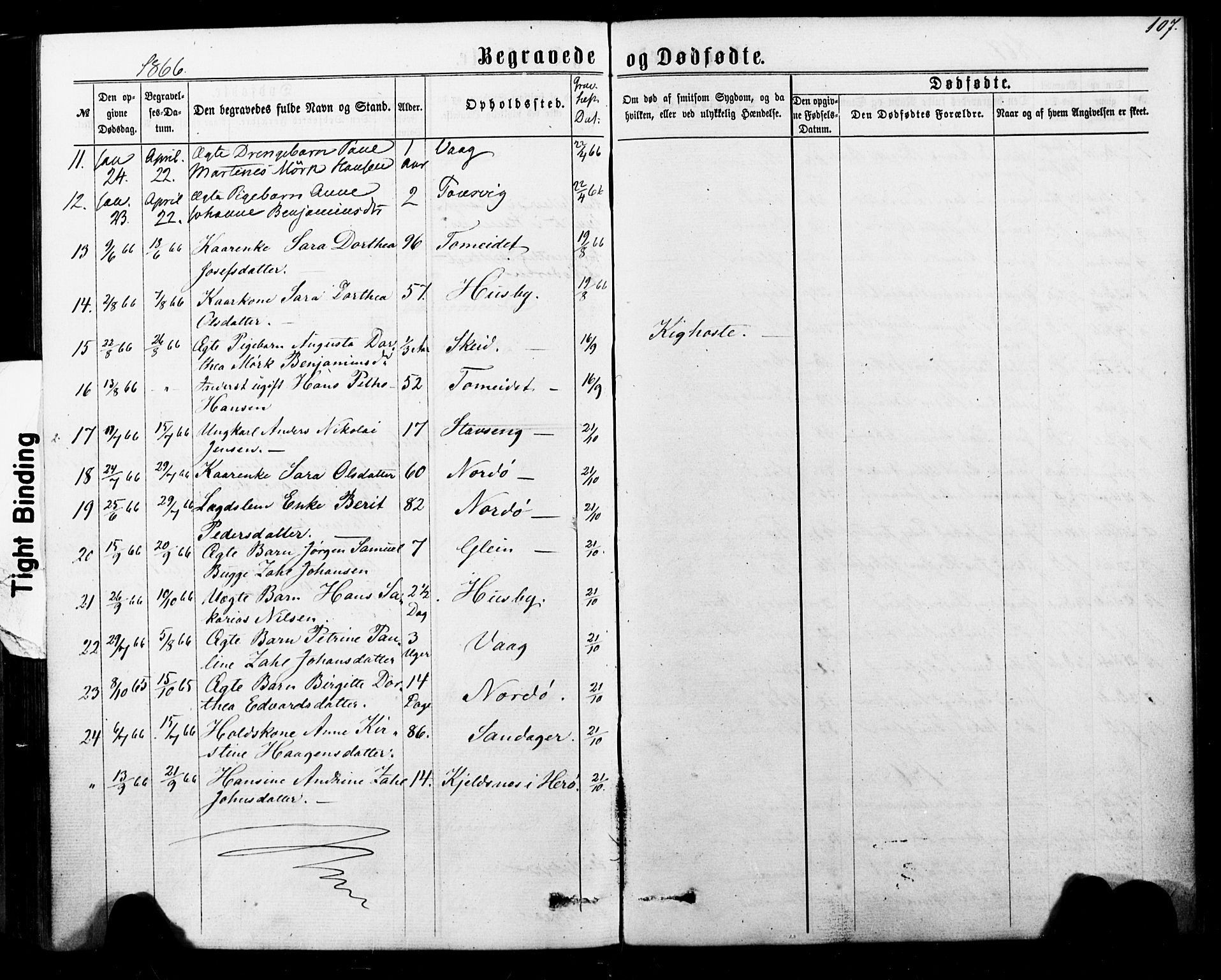 Ministerialprotokoller, klokkerbøker og fødselsregistre - Nordland, AV/SAT-A-1459/835/L0524: Parish register (official) no. 835A02, 1865-1880, p. 107