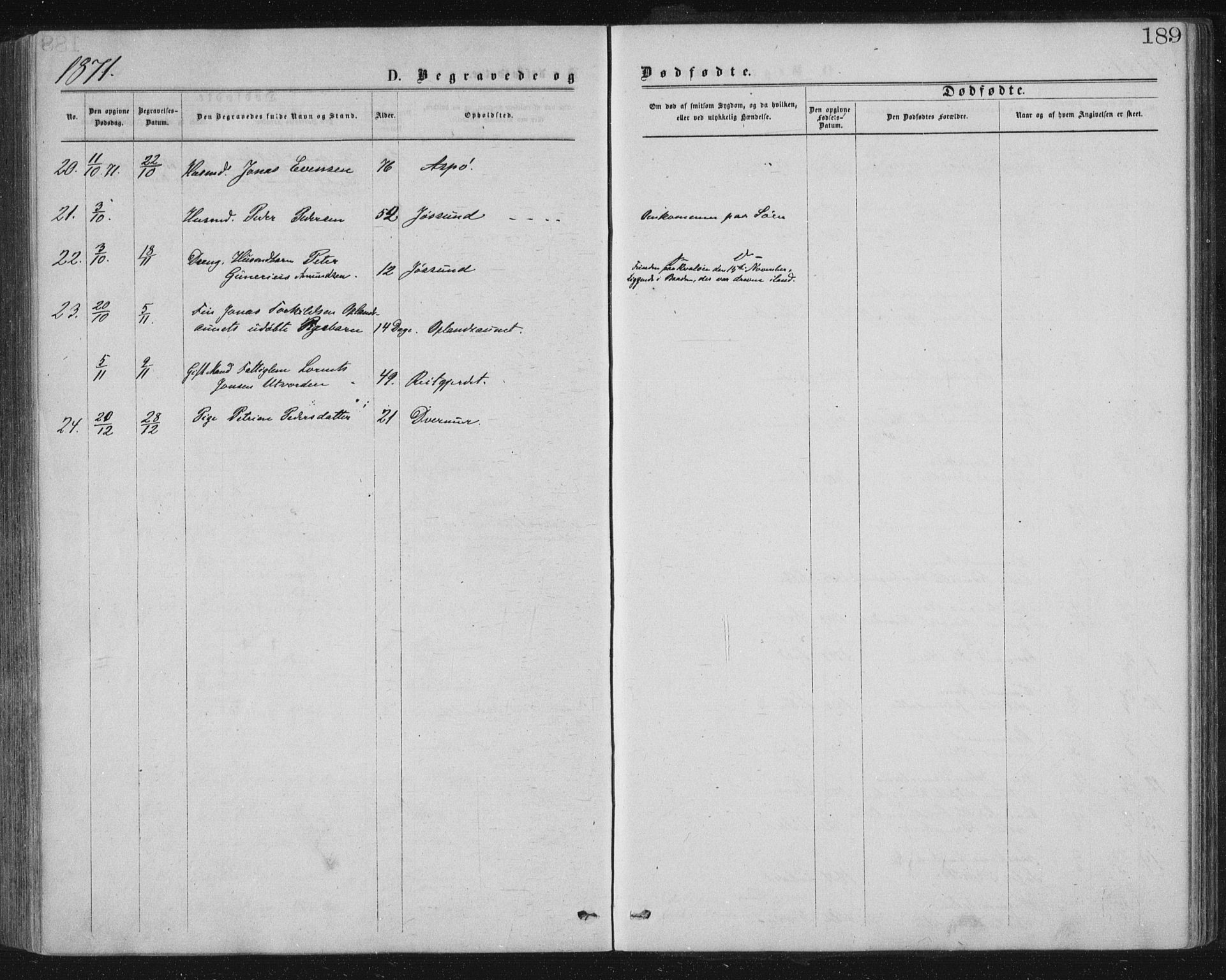 Ministerialprotokoller, klokkerbøker og fødselsregistre - Nord-Trøndelag, SAT/A-1458/771/L0596: Parish register (official) no. 771A03, 1870-1884, p. 189