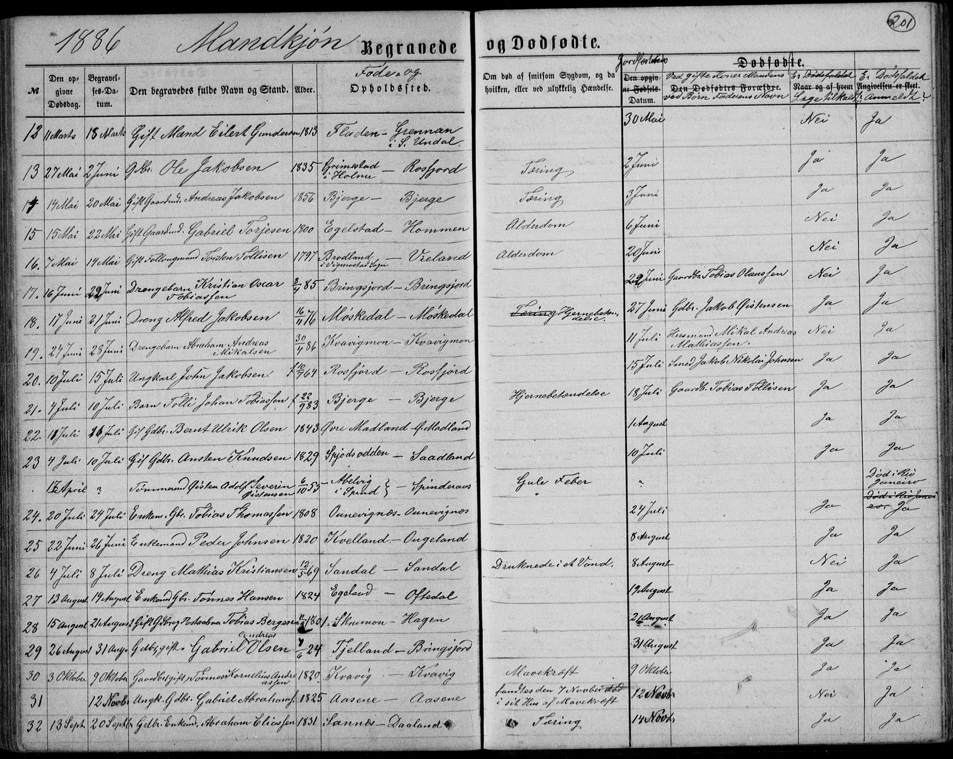 Lyngdal sokneprestkontor, AV/SAK-1111-0029/F/Fb/Fbc/L0004: Parish register (copy) no. B 4, 1878-1896, p. 201