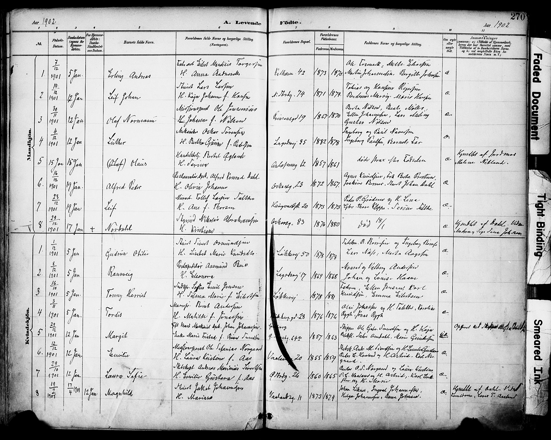 Domkirken sokneprestkontor, SAST/A-101812/001/30/30BA/L0030: Parish register (official) no. A 29, 1889-1902, p. 270
