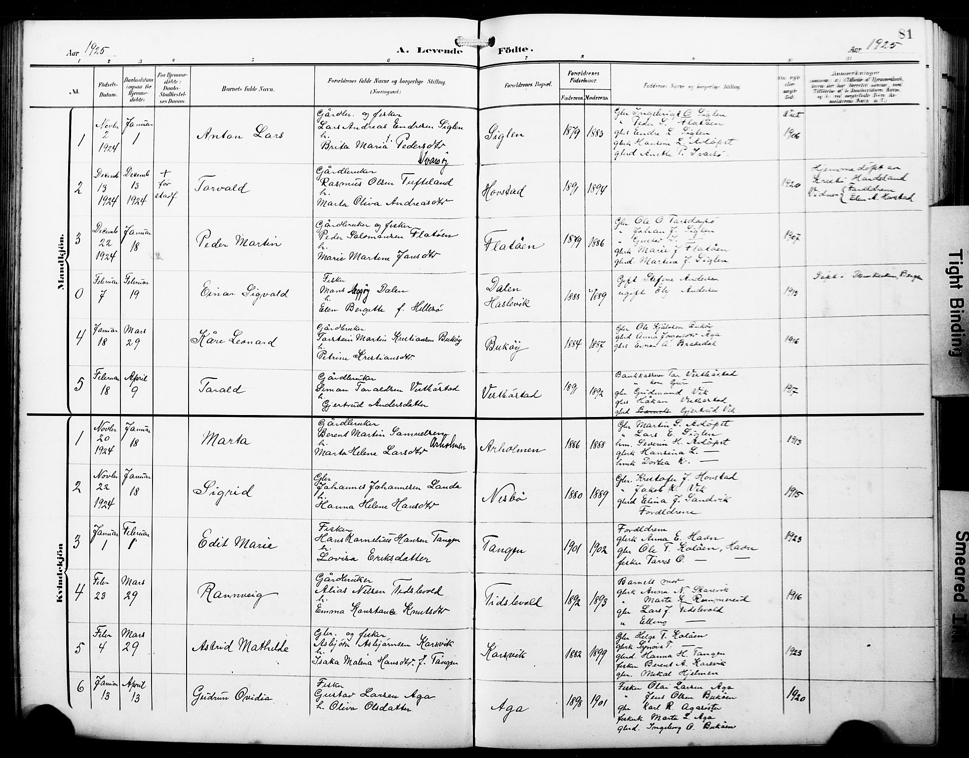 Fitjar sokneprestembete, SAB/A-99926: Parish register (copy) no. B 1, 1906-1928, p. 81
