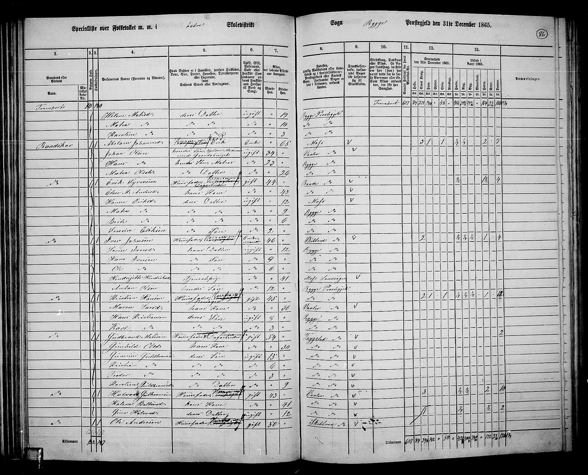 RA, 1865 census for Rygge, 1865, p. 29