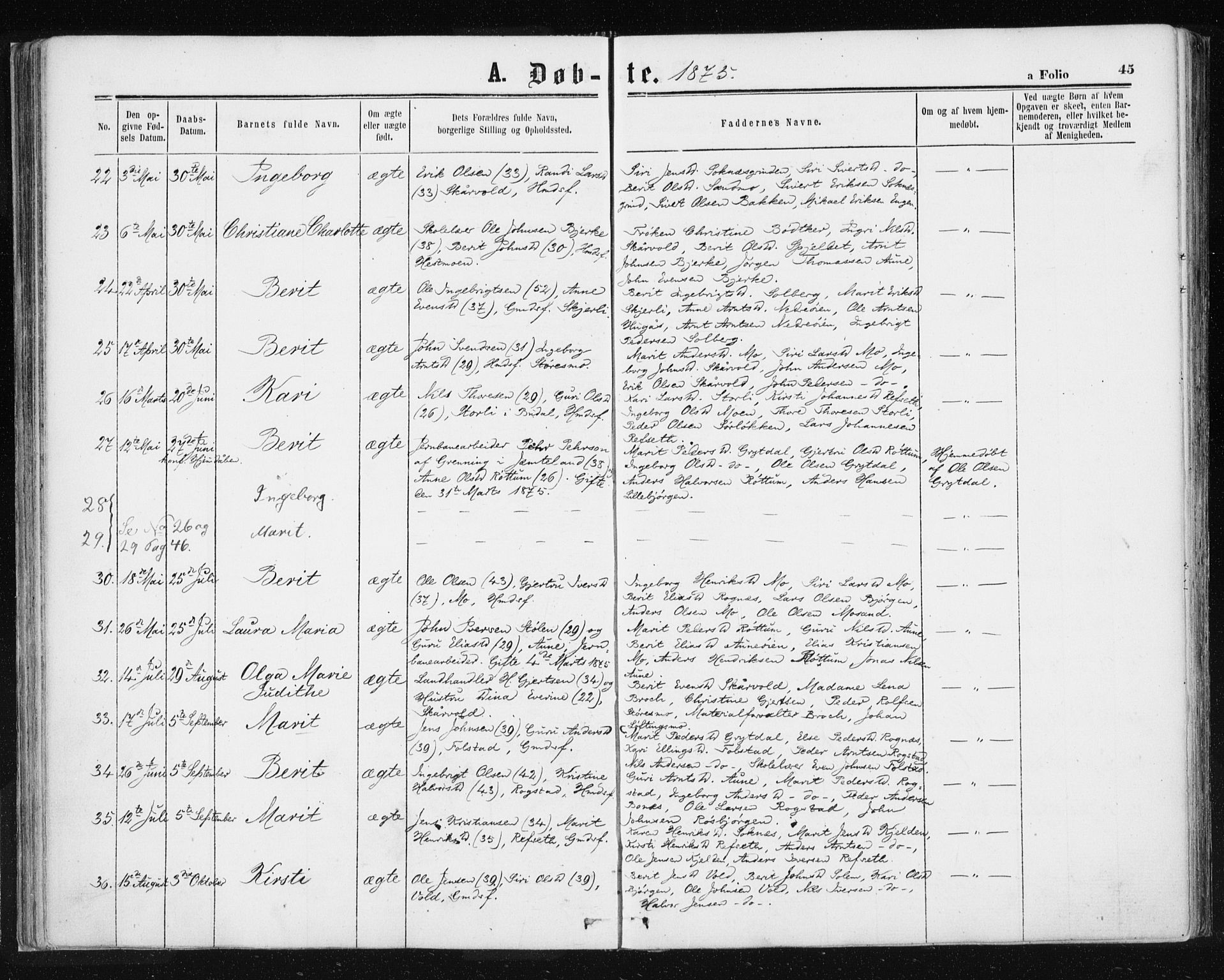 Ministerialprotokoller, klokkerbøker og fødselsregistre - Sør-Trøndelag, SAT/A-1456/687/L1001: Parish register (official) no. 687A07, 1863-1878, p. 45