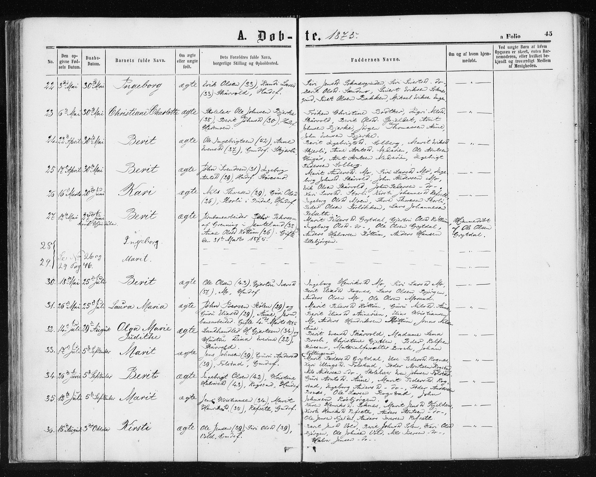 Ministerialprotokoller, klokkerbøker og fødselsregistre - Sør-Trøndelag, AV/SAT-A-1456/687/L1001: Parish register (official) no. 687A07, 1863-1878, p. 45