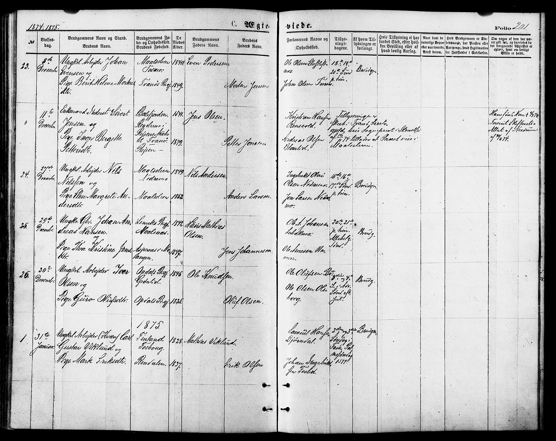 Målselv sokneprestembete, SATØ/S-1311/G/Ga/Gaa/L0005kirke: Parish register (official) no. 5, 1872-1884, p. 201