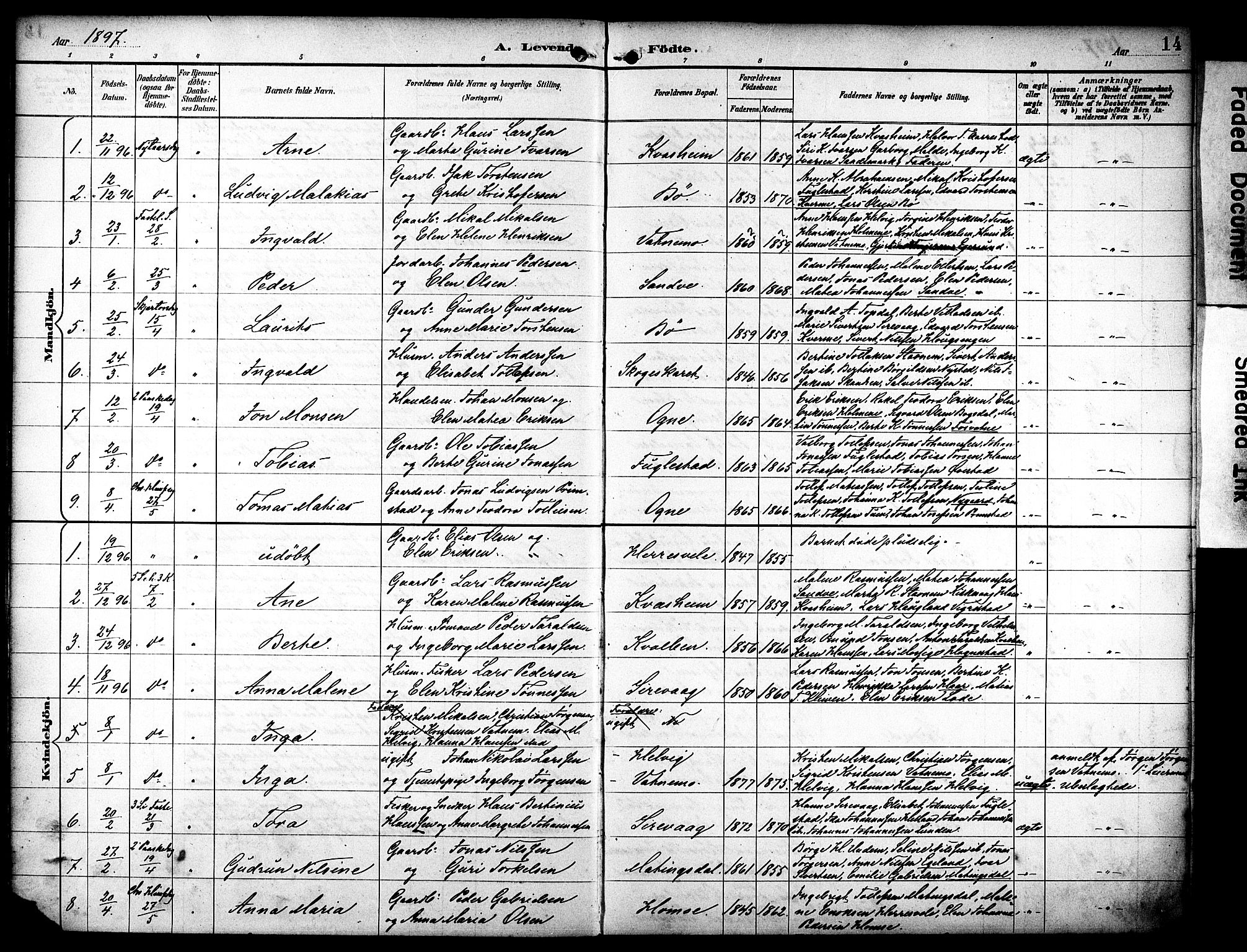 Eigersund sokneprestkontor, AV/SAST-A-101807/S08/L0020: Parish register (official) no. A 19, 1893-1910, p. 14