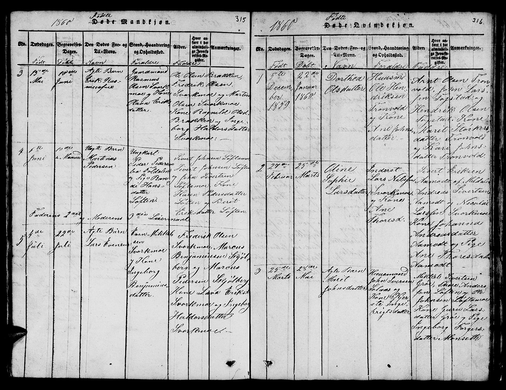 Ministerialprotokoller, klokkerbøker og fødselsregistre - Sør-Trøndelag, SAT/A-1456/671/L0842: Parish register (copy) no. 671C01, 1816-1867, p. 315-316