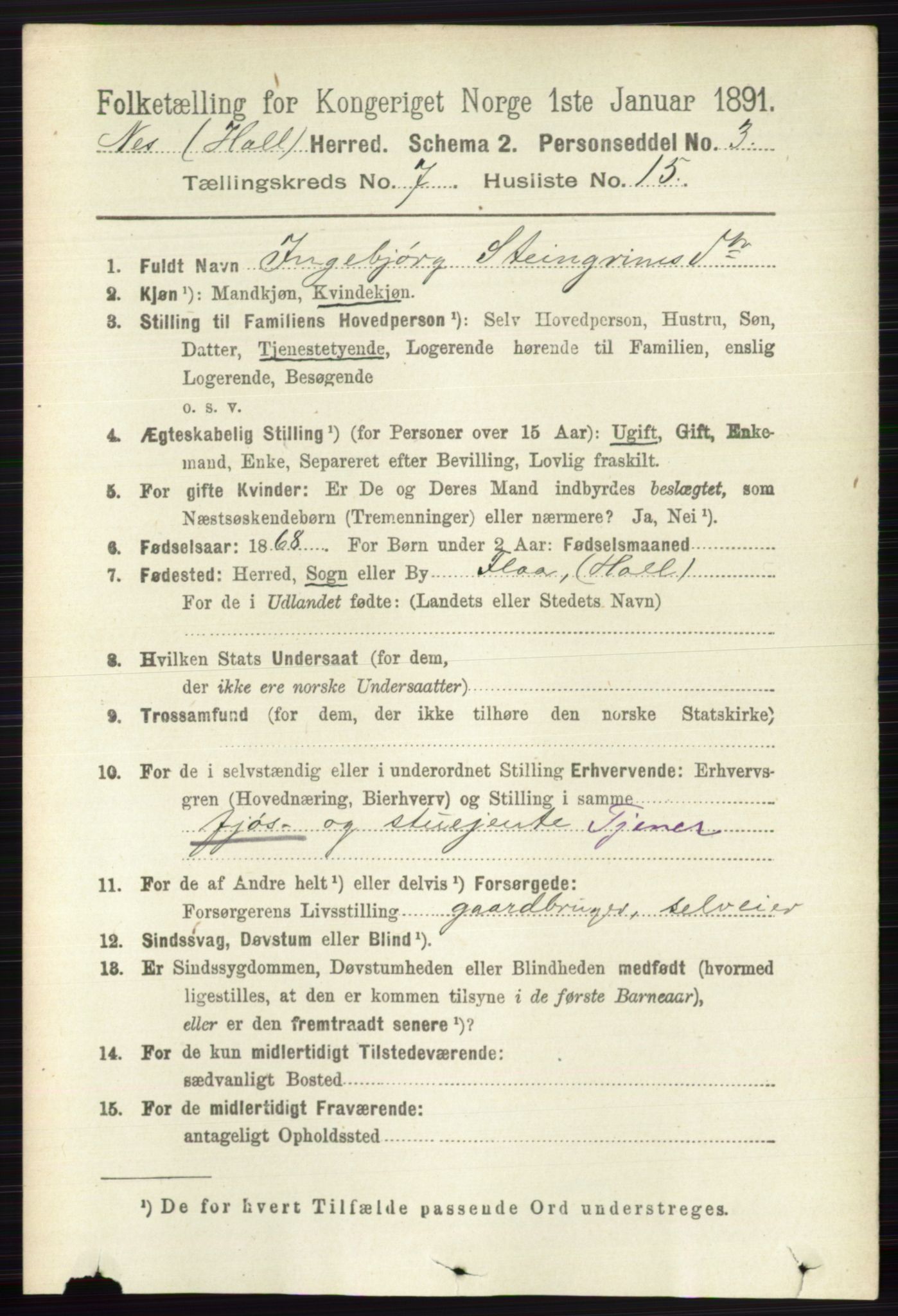 RA, 1891 census for 0616 Nes, 1891, p. 3684