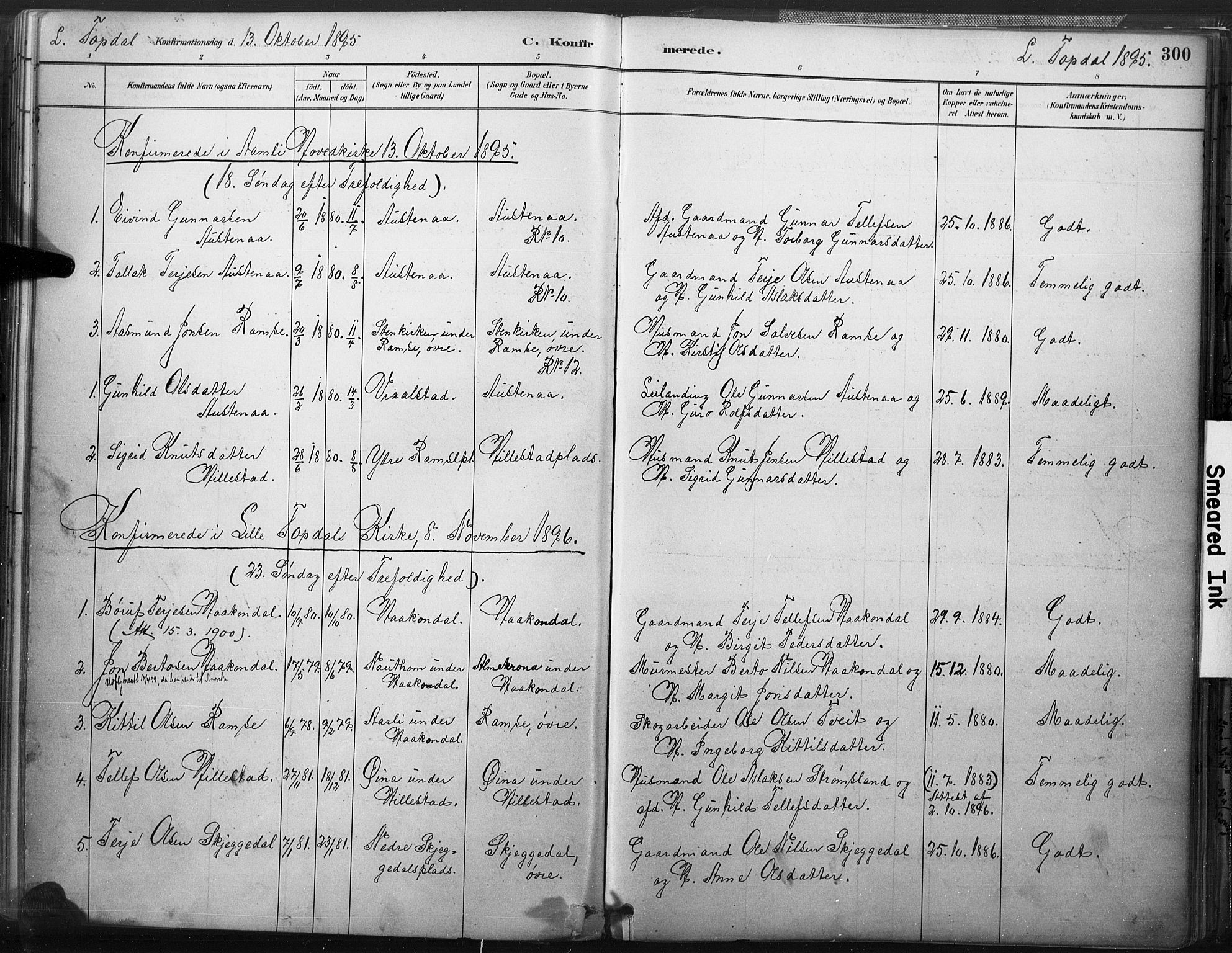 Åmli sokneprestkontor, AV/SAK-1111-0050/F/Fa/Fac/L0010: Parish register (official) no. A 10 /3, 1885-1899, p. 300