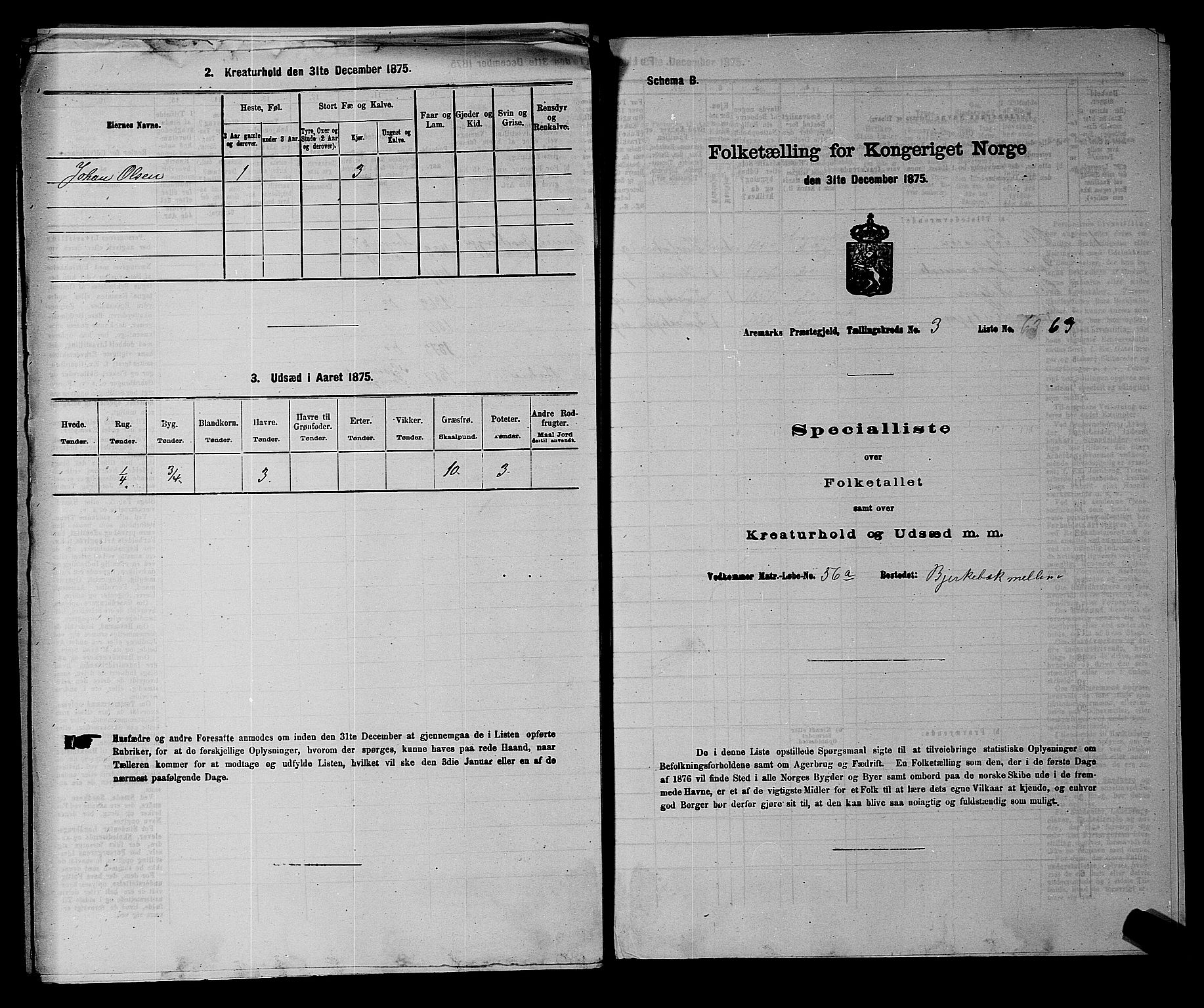 RA, 1875 census for 0118P Aremark, 1875, p. 500