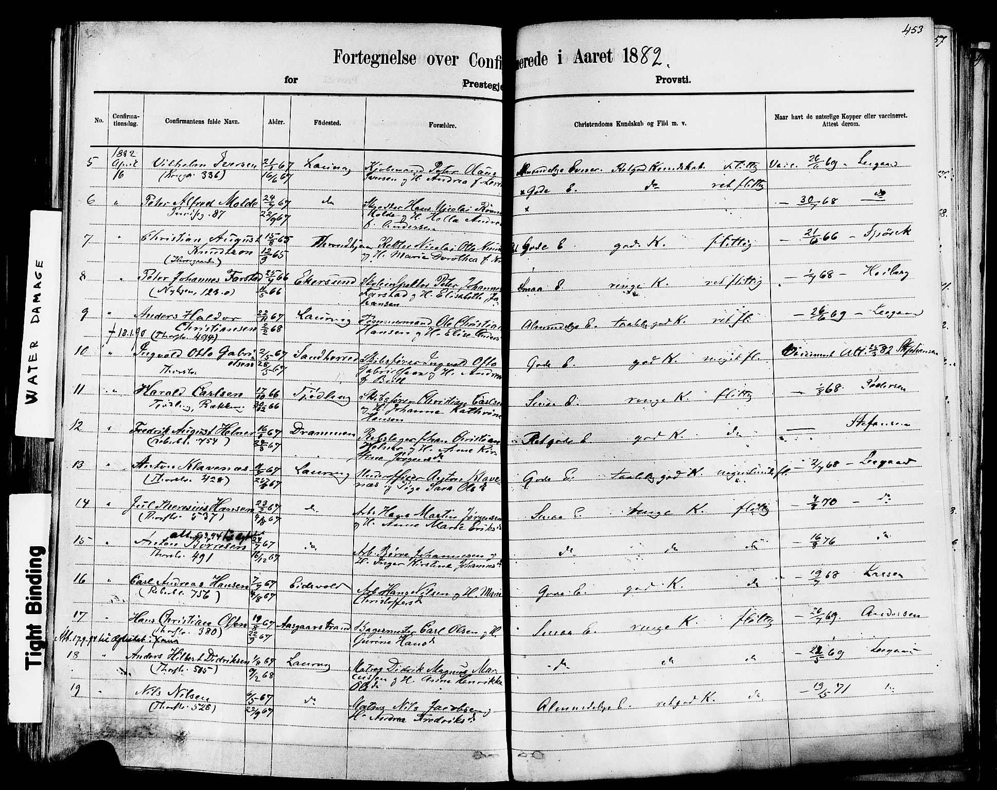 Larvik kirkebøker, AV/SAKO-A-352/F/Fa/L0006: Parish register (official) no. I 6, 1871-1883, p. 453