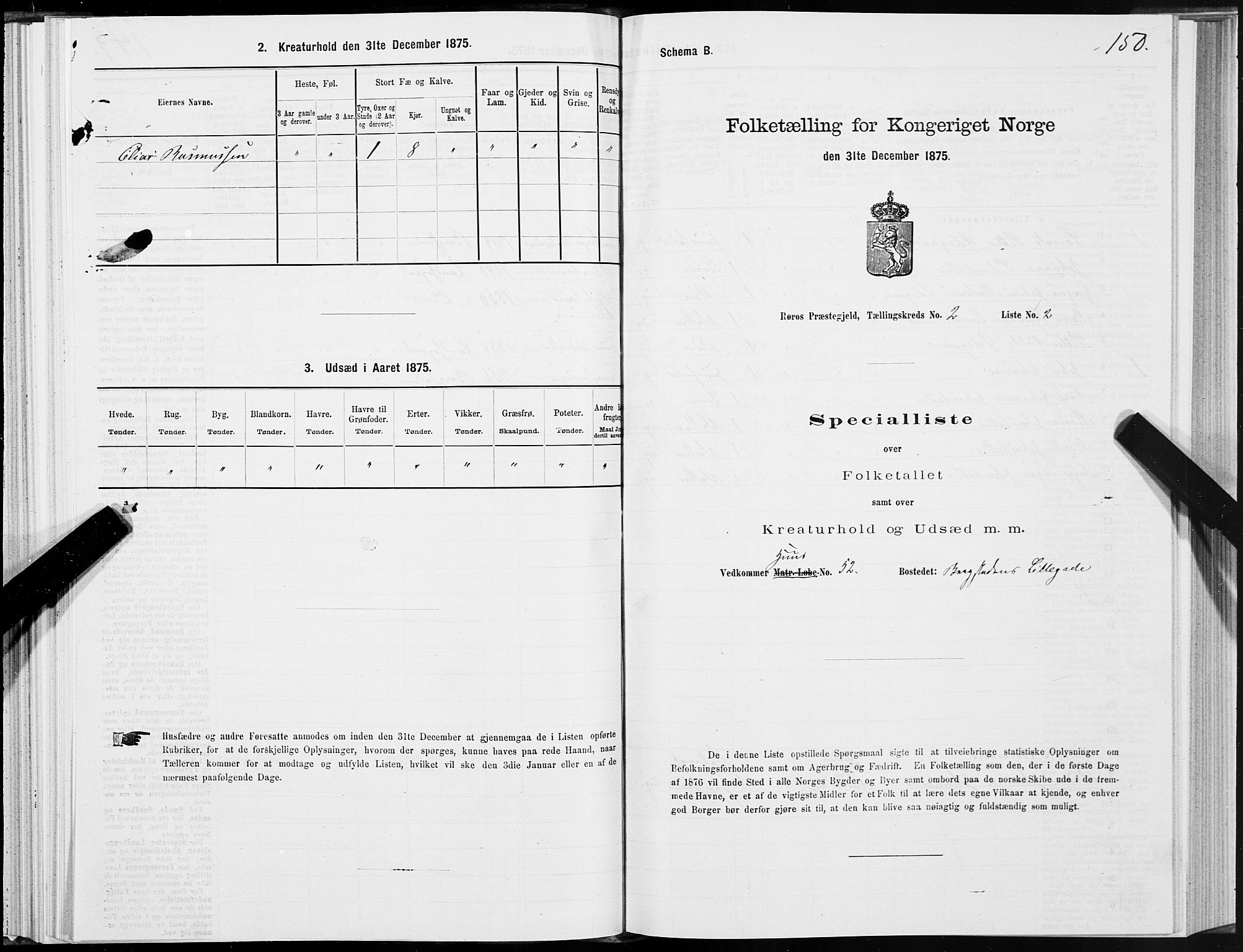 SAT, 1875 census for 1640P Røros, 1875, p. 1150