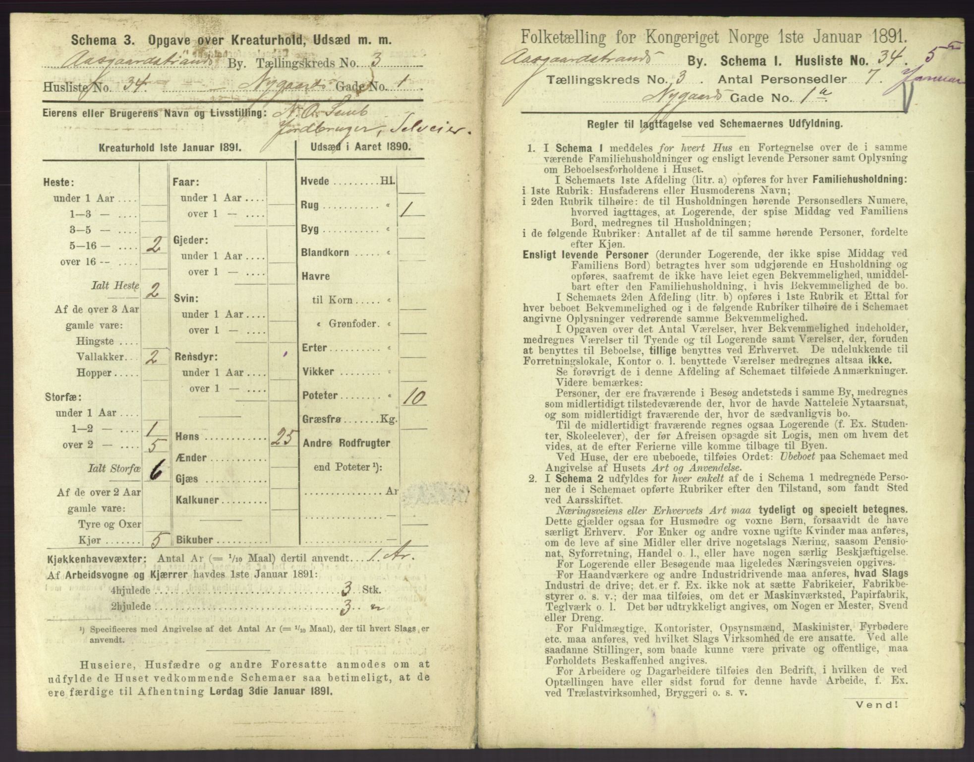 RA, 1891 census for 0704 Åsgårdstrand, 1891, p. 203