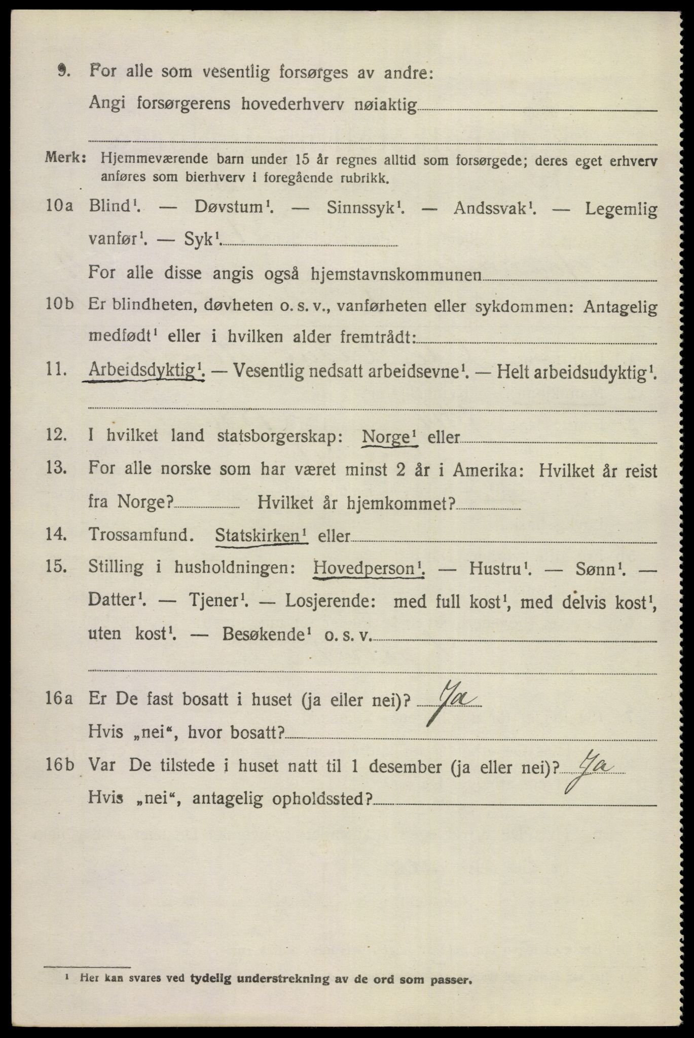 SAKO, 1920 census for Hemsedal, 1920, p. 1455