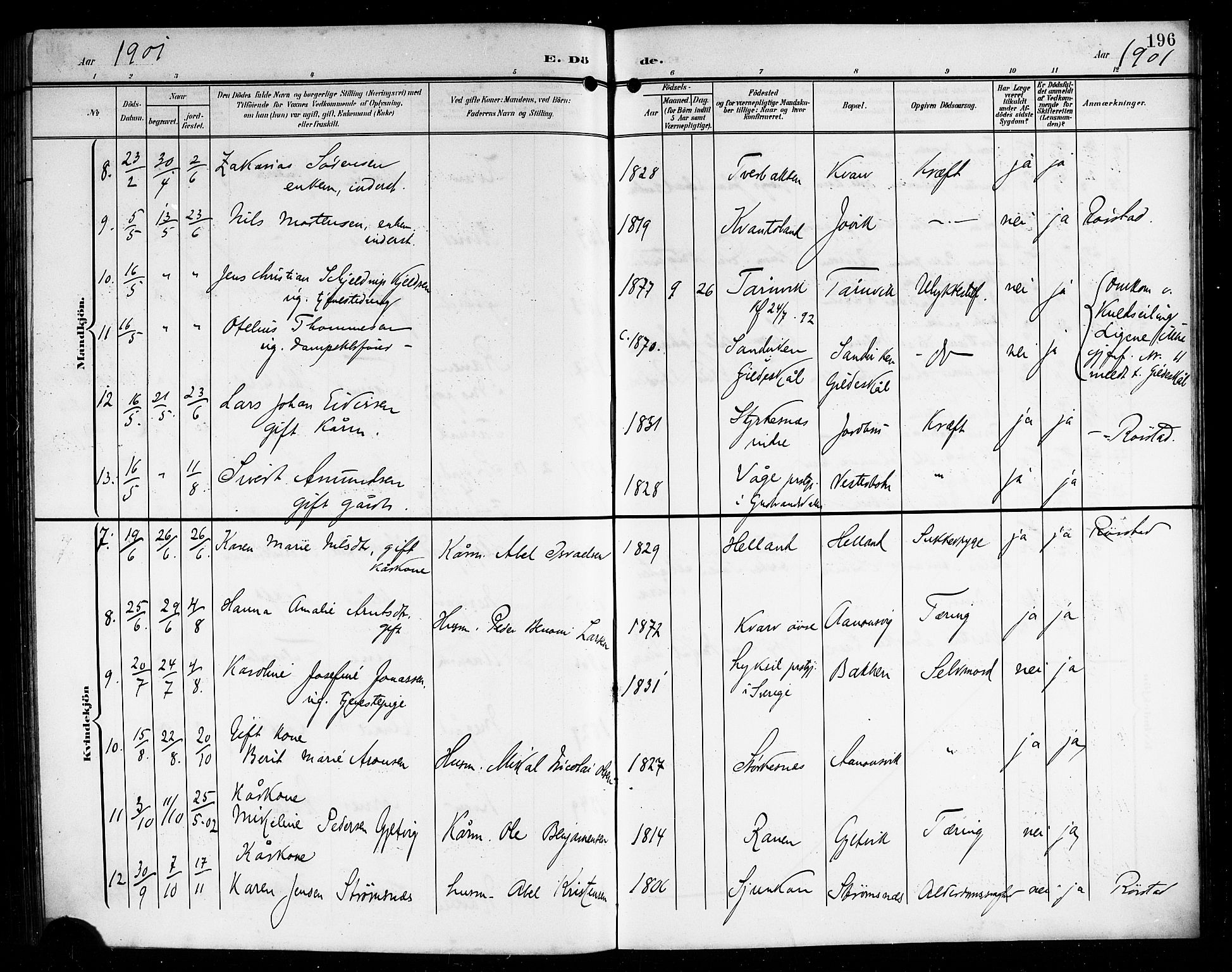 Ministerialprotokoller, klokkerbøker og fødselsregistre - Nordland, AV/SAT-A-1459/854/L0786: Parish register (copy) no. 854C02, 1901-1912, p. 196