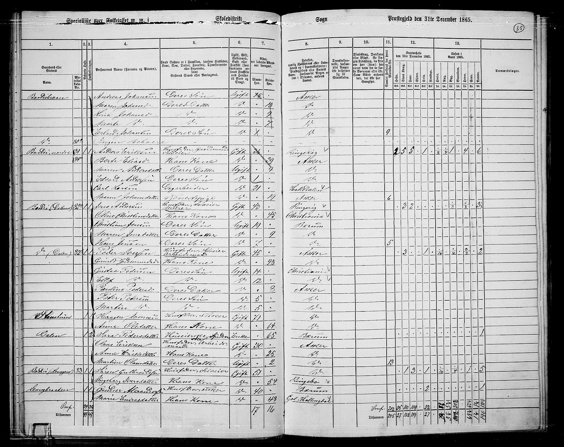 RA, 1865 census for Asker, 1865, p. 37