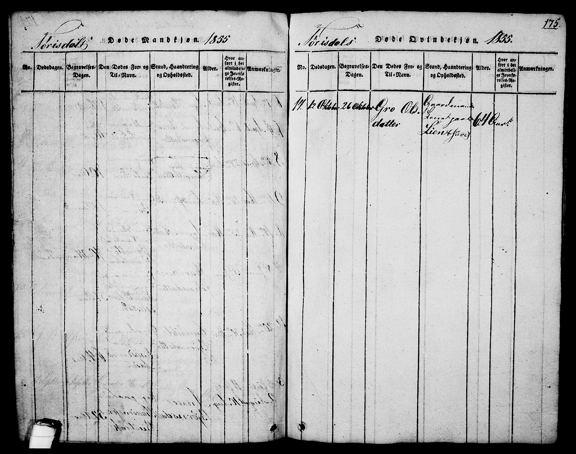 Drangedal kirkebøker, SAKO/A-258/G/Ga/L0001: Parish register (copy) no. I 1 /2, 1814-1856, p. 175