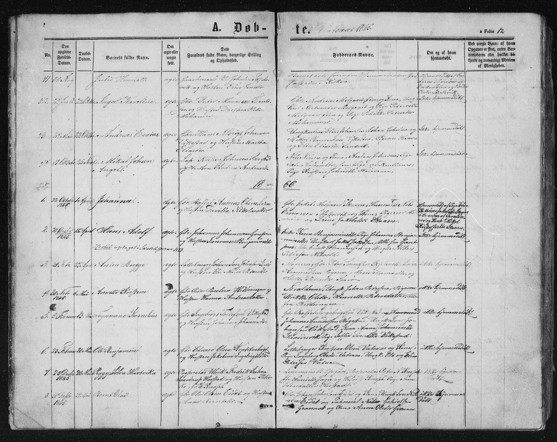 Ministerialprotokoller, klokkerbøker og fødselsregistre - Nordland, AV/SAT-A-1459/810/L0158: Parish register (copy) no. 810C02 /1, 1863-1883, p. 12