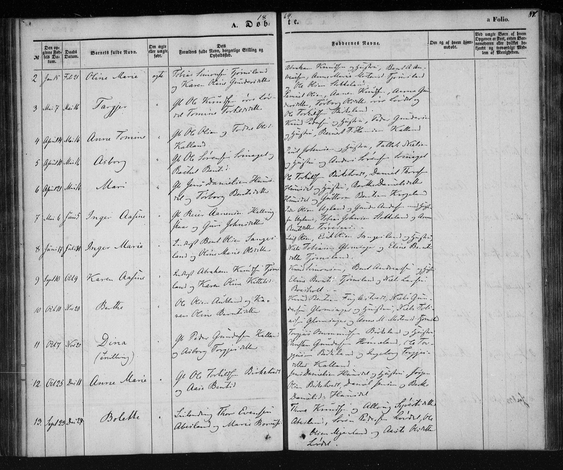 Holum sokneprestkontor, AV/SAK-1111-0022/F/Fa/Fab/L0005: Parish register (official) no. A 5, 1847-1874, p. 87