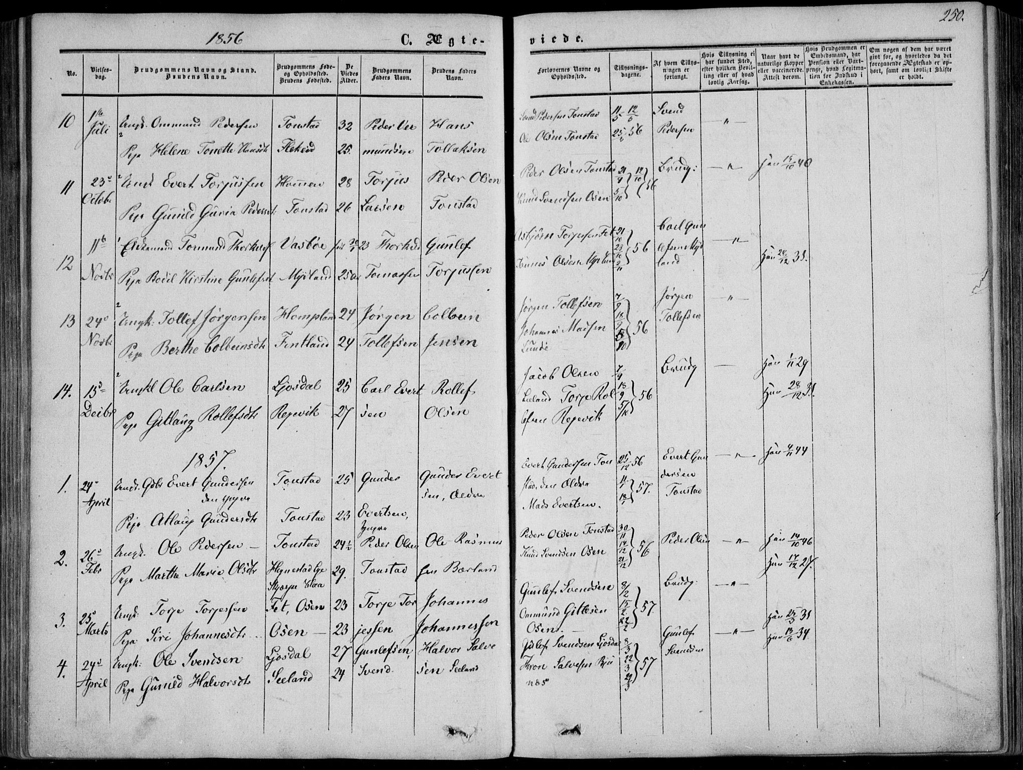 Sirdal sokneprestkontor, AV/SAK-1111-0036/F/Fa/Fab/L0002: Parish register (official) no. A 2, 1855-1874, p. 250